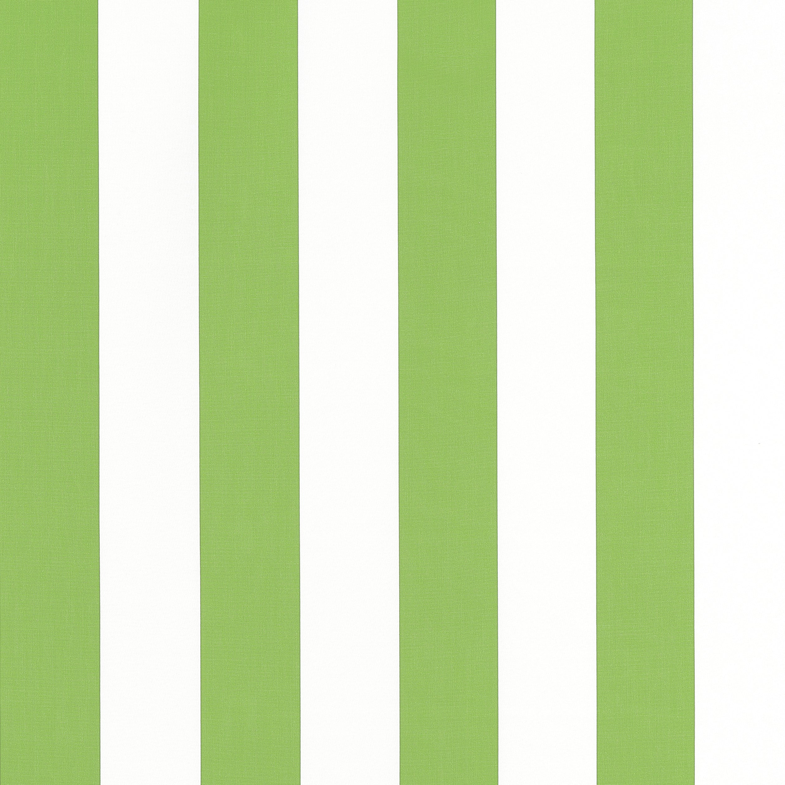 Cabana Stripe fabric in kiwi color - pattern number W81633 - by Thibaut in the Locale collection