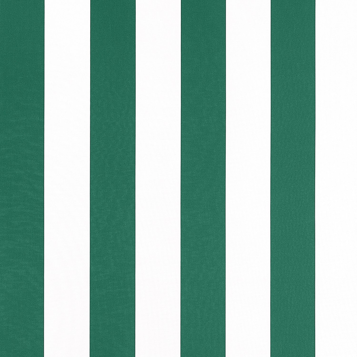 Cabana Stripe fabric in forest color - pattern number W81637 - by Thibaut in the Locale collection