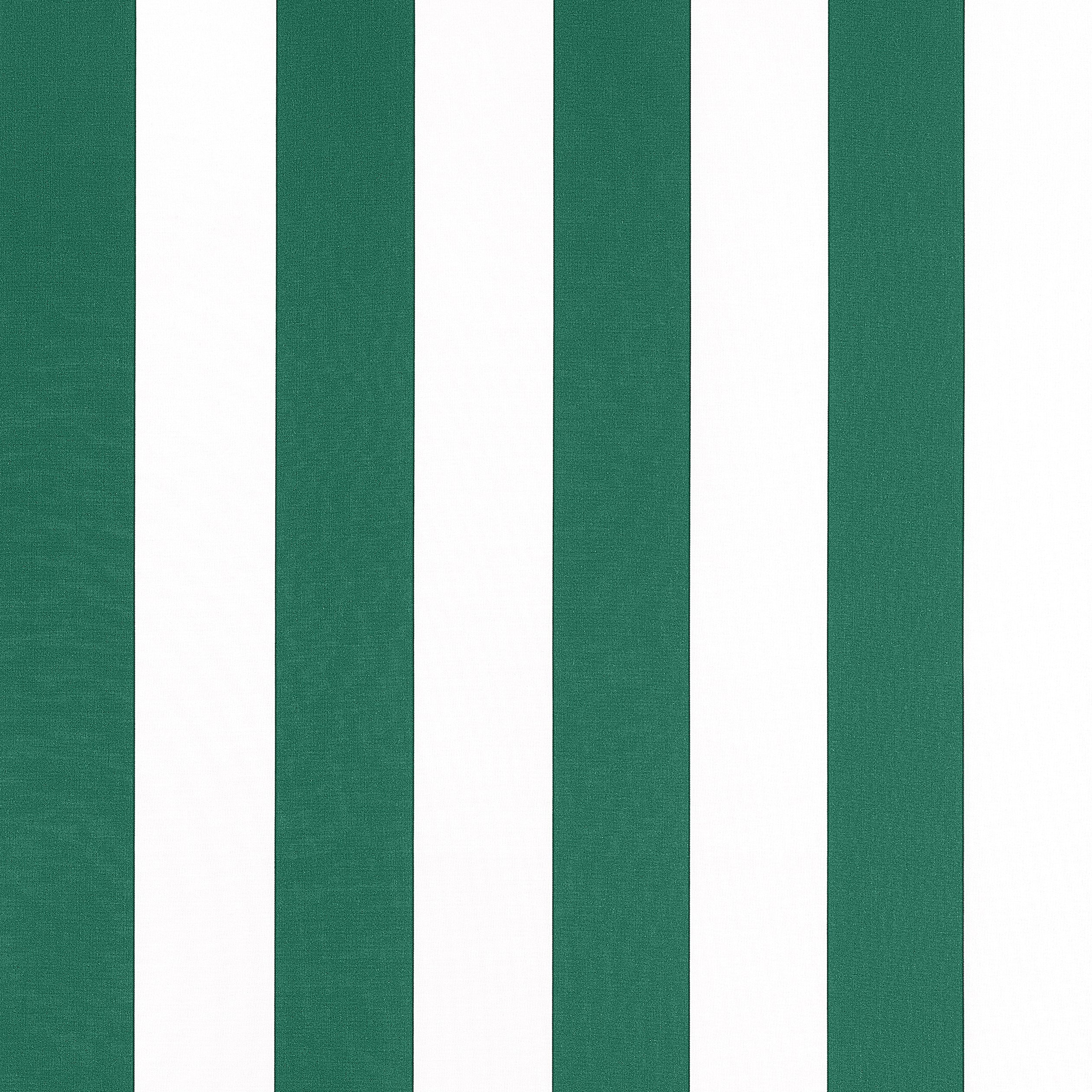 Cabana Stripe fabric in forest color - pattern number W81637 - by Thibaut in the Locale collection