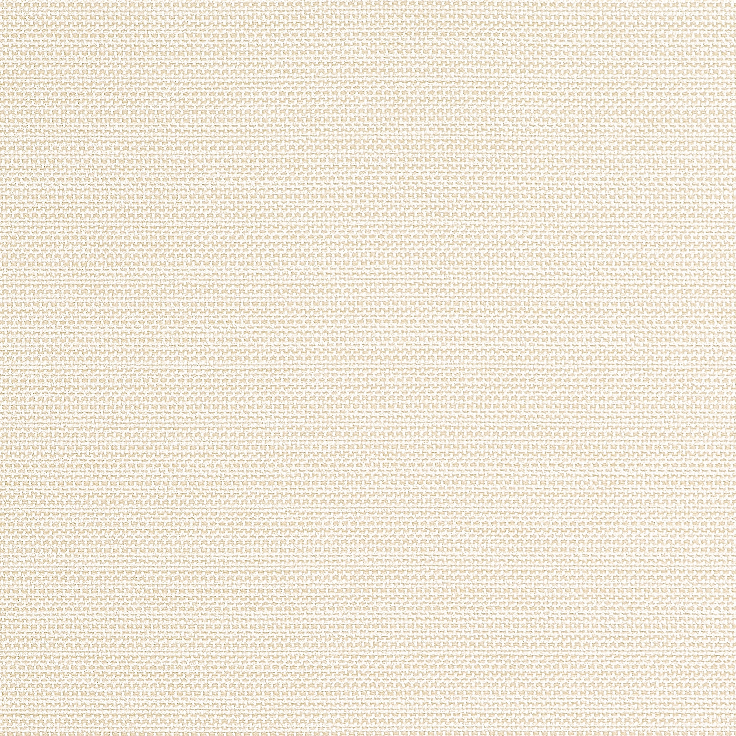 Cameron fabric in sand color - pattern number W81645 - by Thibaut in the Locale collection