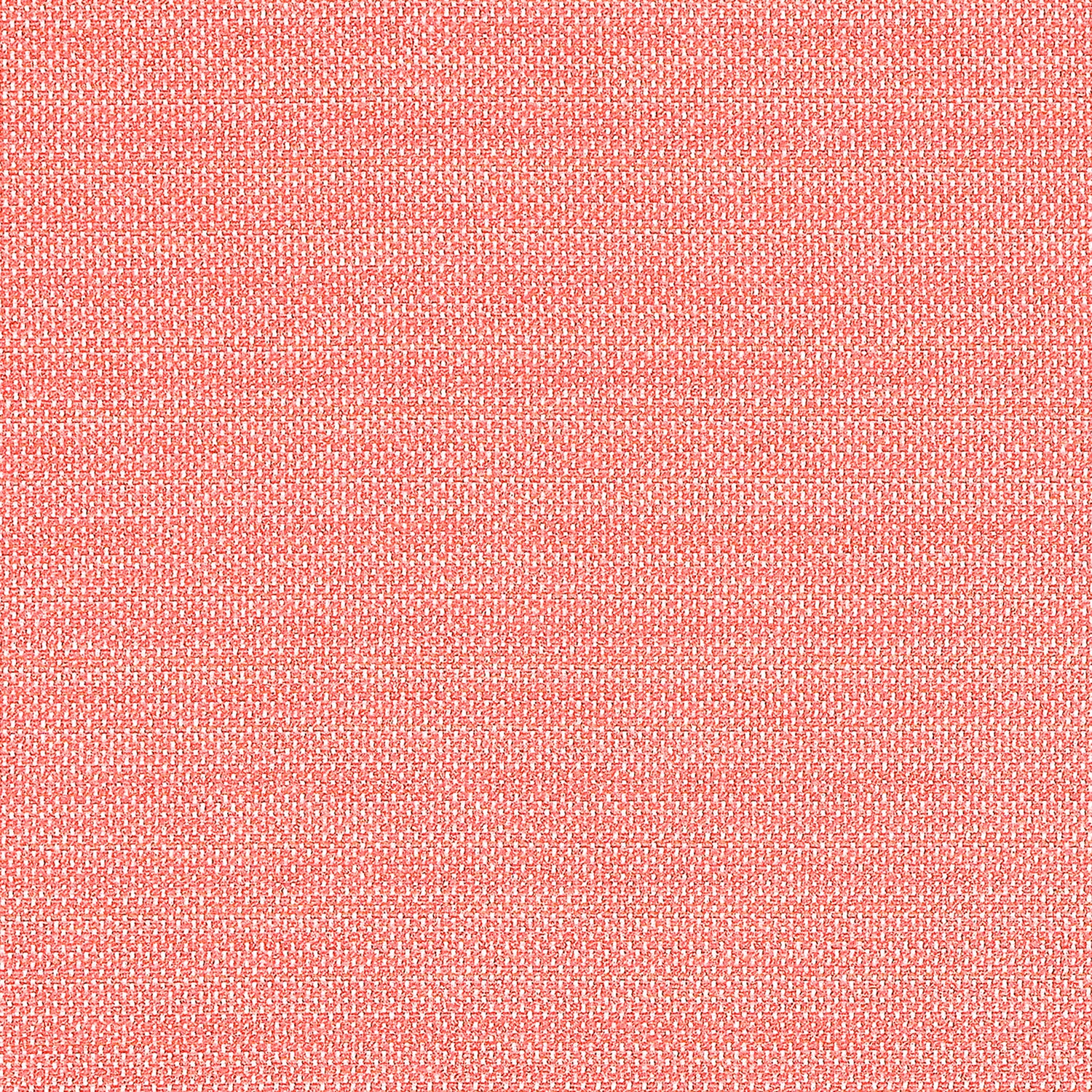 Cameron fabric in coral color - pattern number W81646 - by Thibaut in the Locale collection