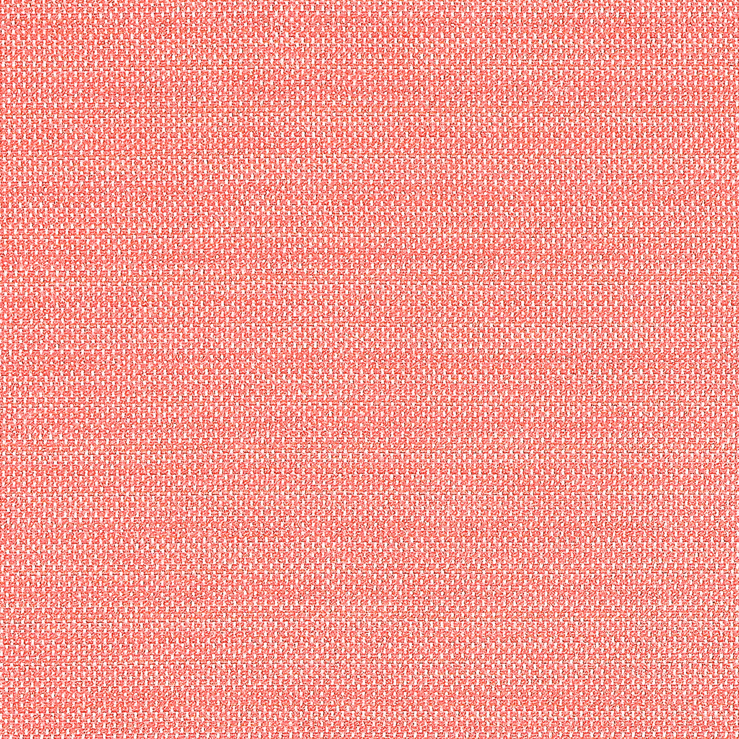 Cameron fabric in coral color - pattern number W81646 - by Thibaut in the Locale collection