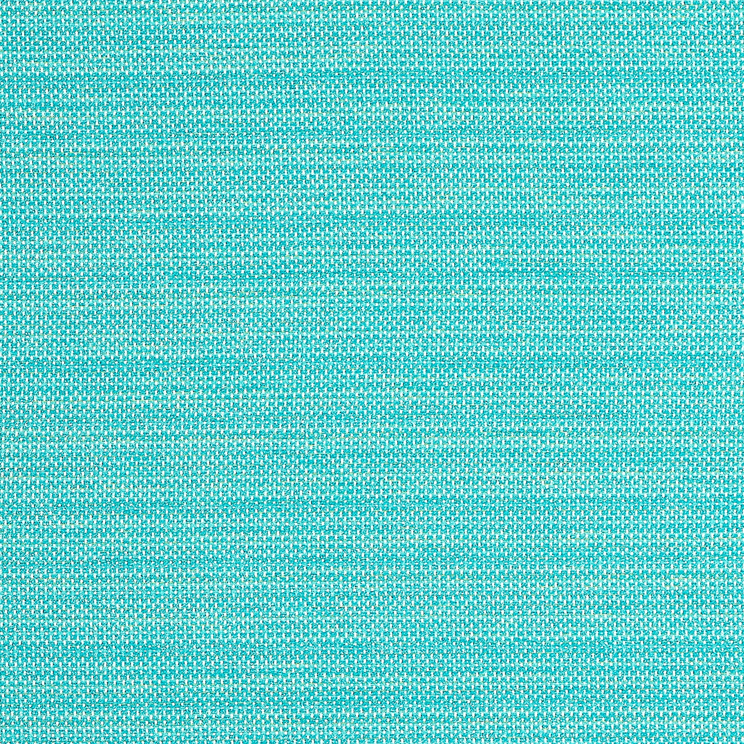 Cameron fabric in capri color - pattern number W81647 - by Thibaut in the Locale collection