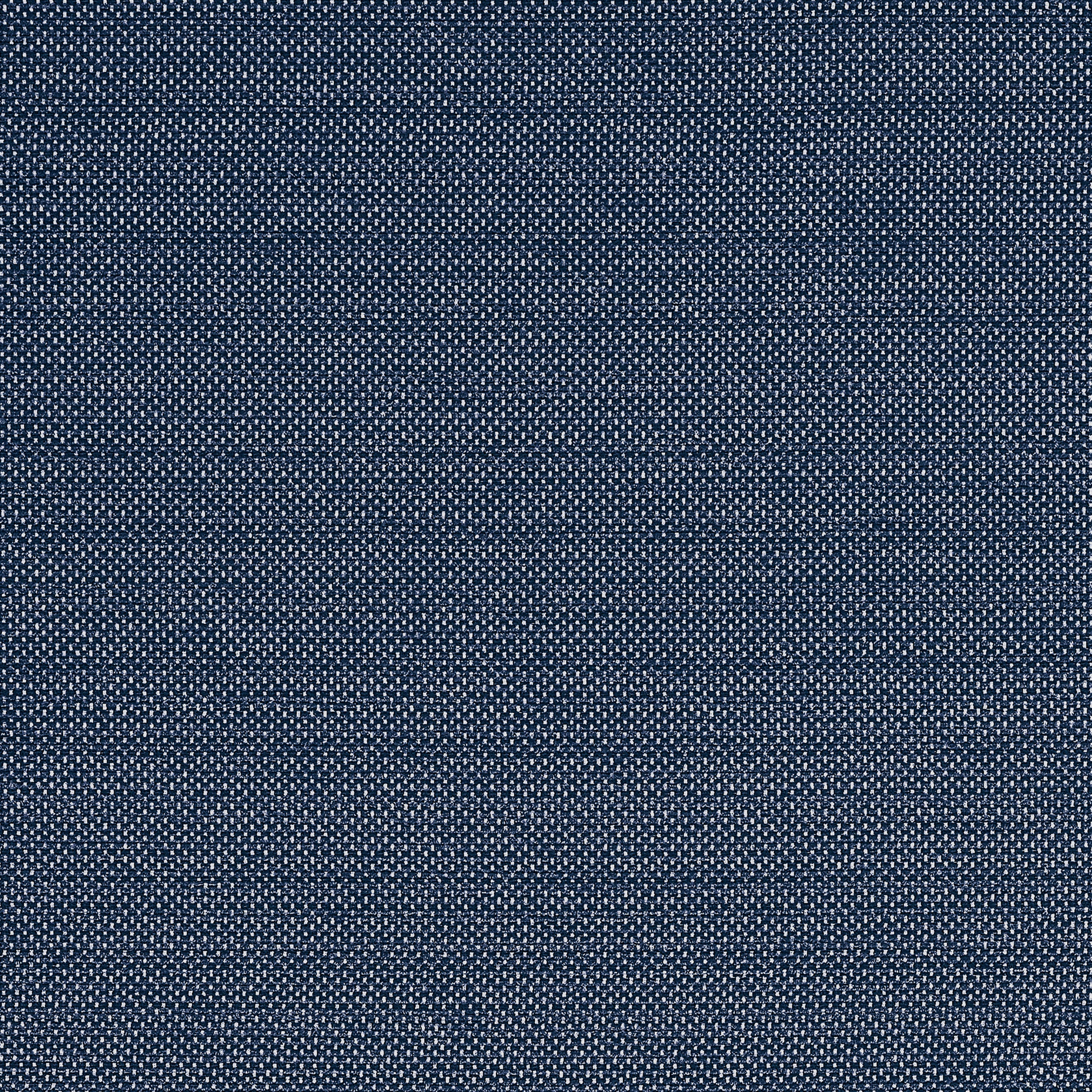 Cameron fabric in navy color - pattern number W81649 - by Thibaut in the Locale collection