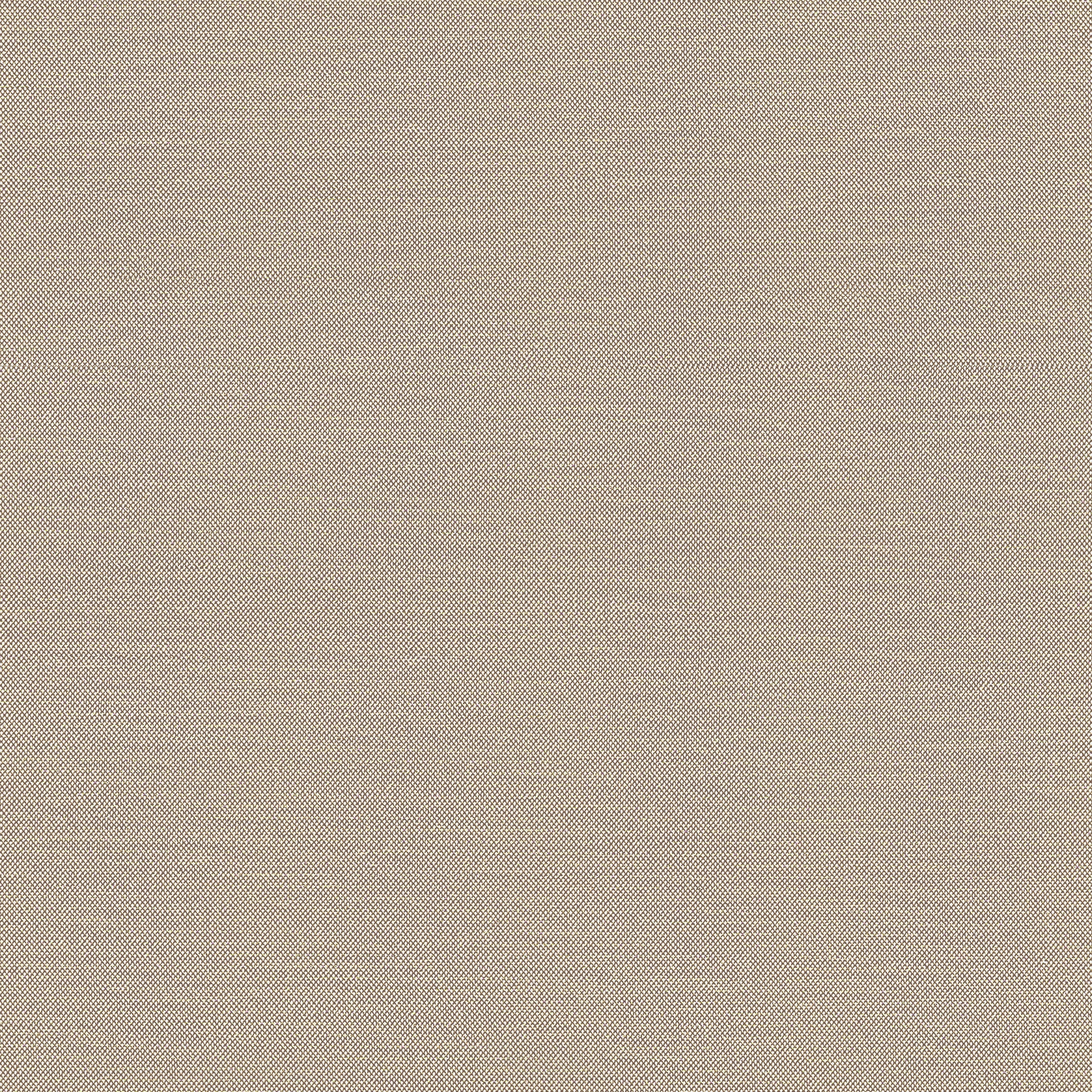 Tessa fabric in jute color - pattern number W81652 - by Thibaut in the Locale collection