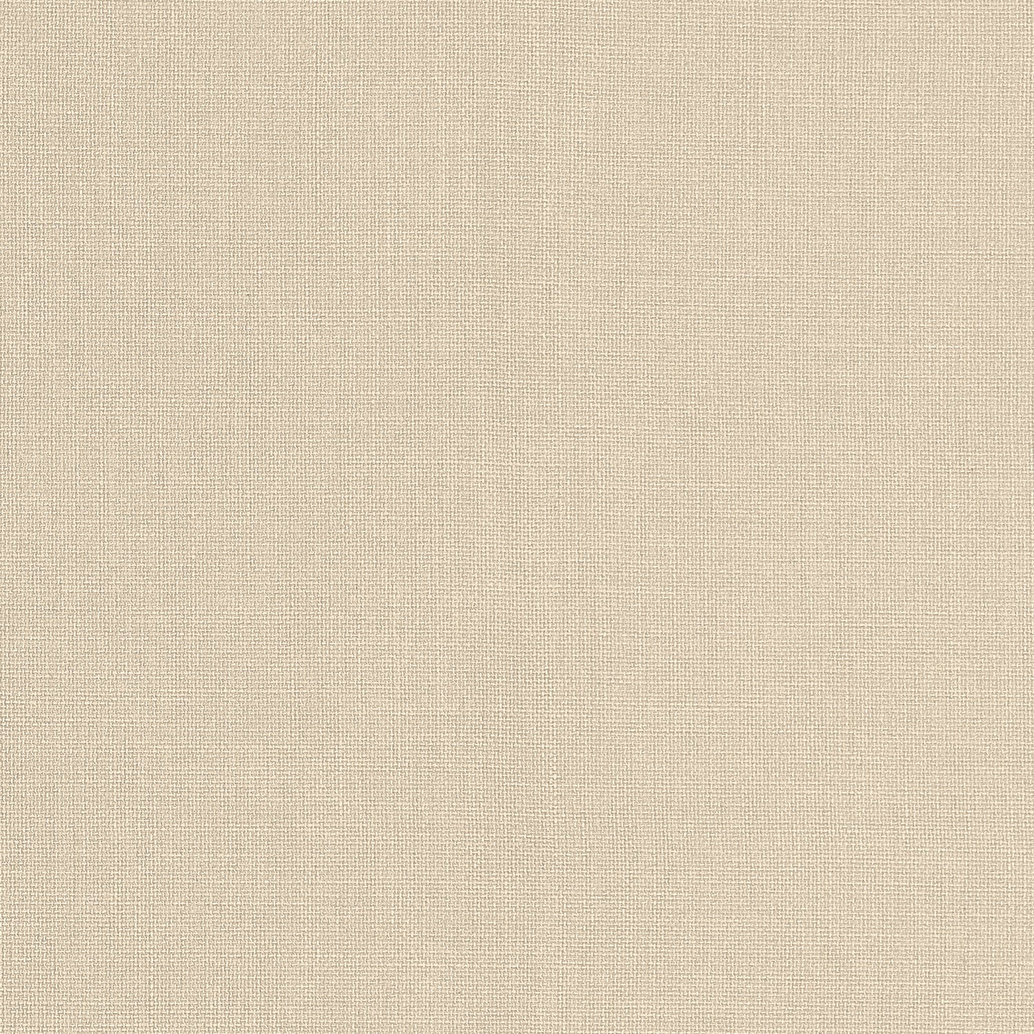 Brynn fabric in sand color - pattern number W81679 - by Thibaut in the Locale collection