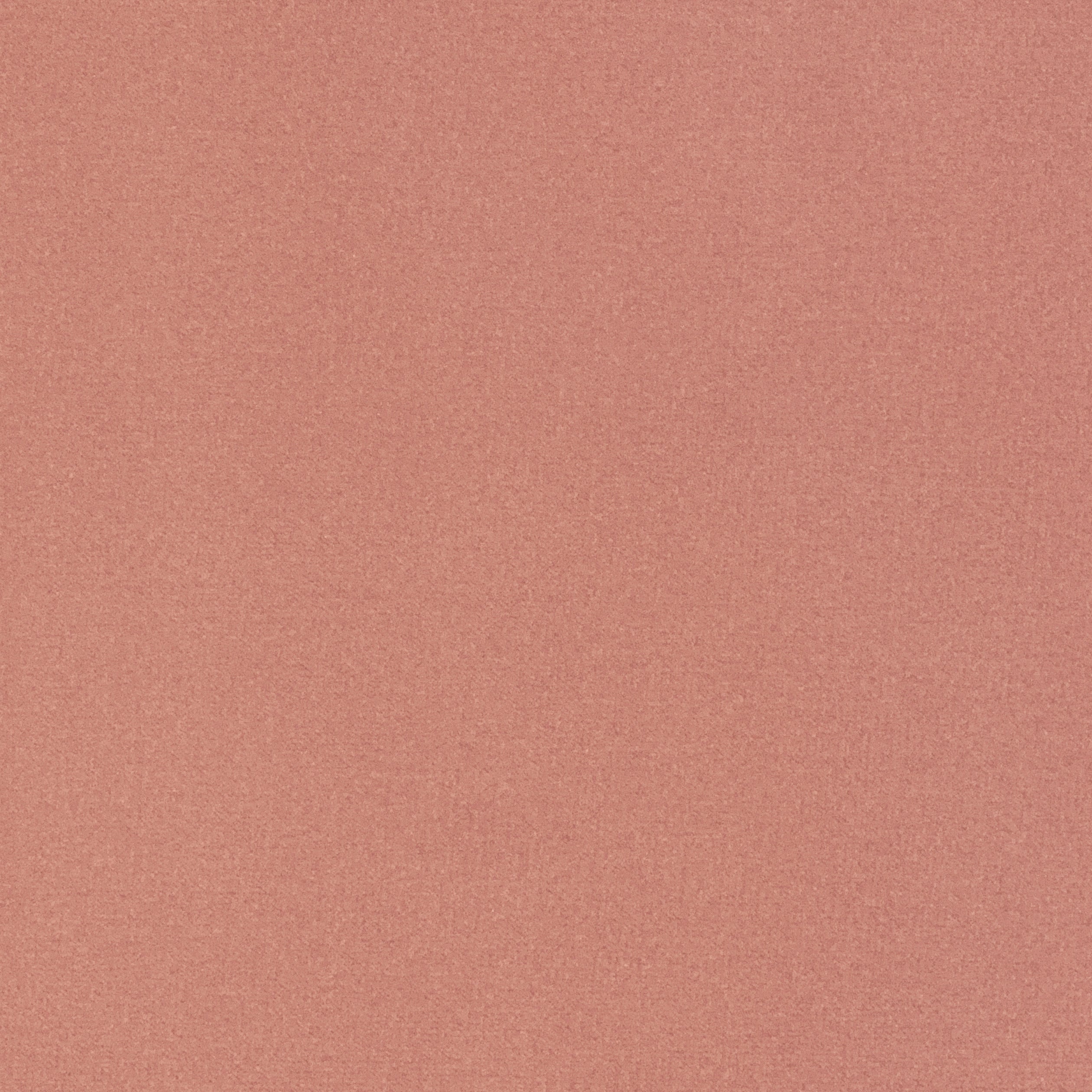 Mirasol Velvet fabric in spice color - pattern number W81739 - by Thibaut in the Soleil Textures collection