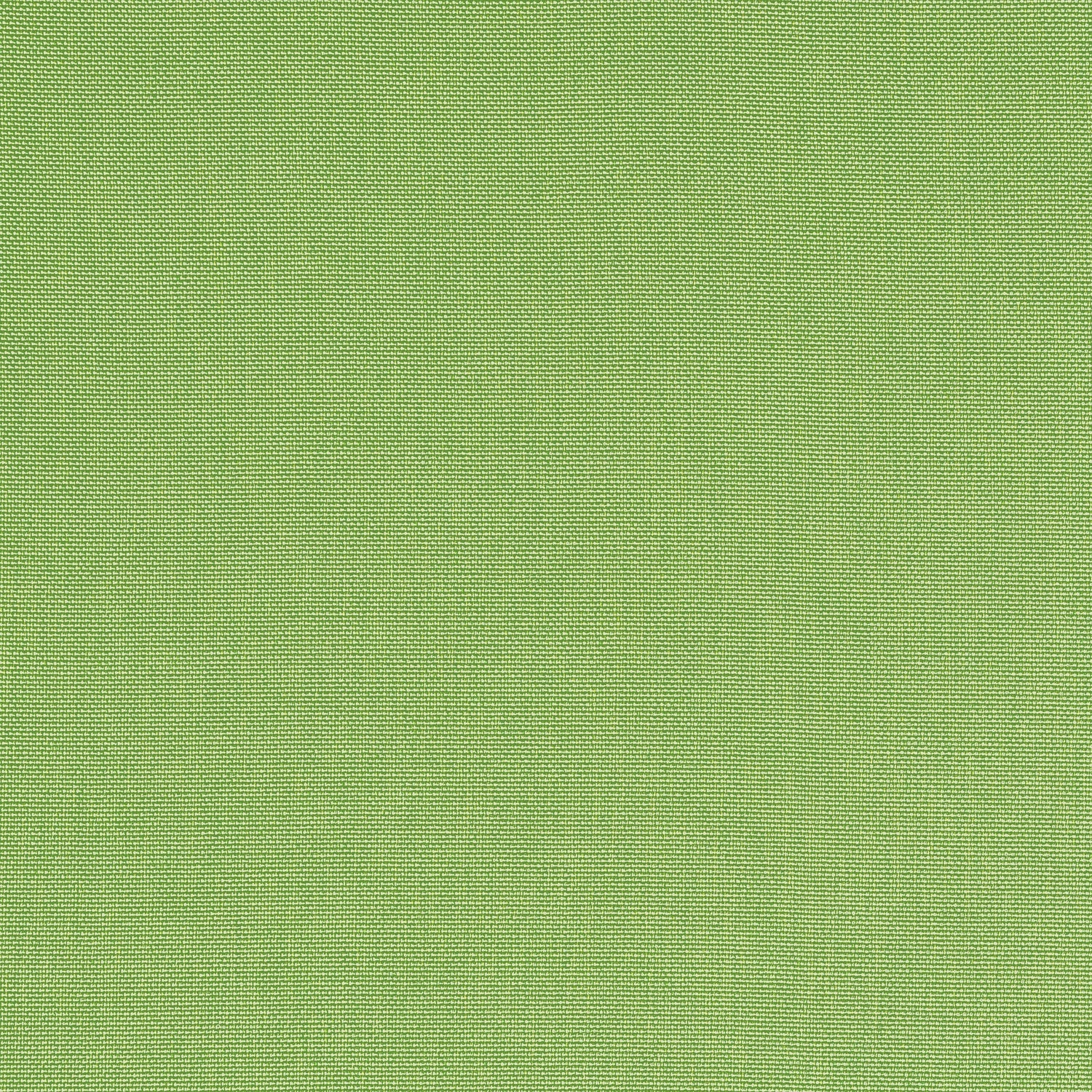 Palmer fabric in kiwi color - pattern number W81752 - by Thibaut in the Soleil Textures collection