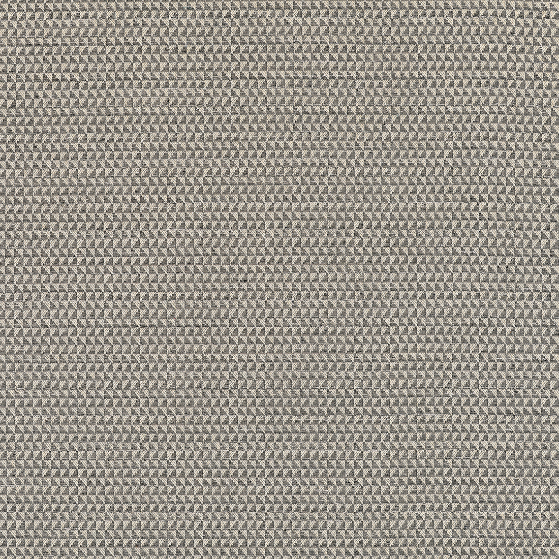 Pollux fabric in charcoal color - pattern number W81913 - by Thibaut in the Companions collection