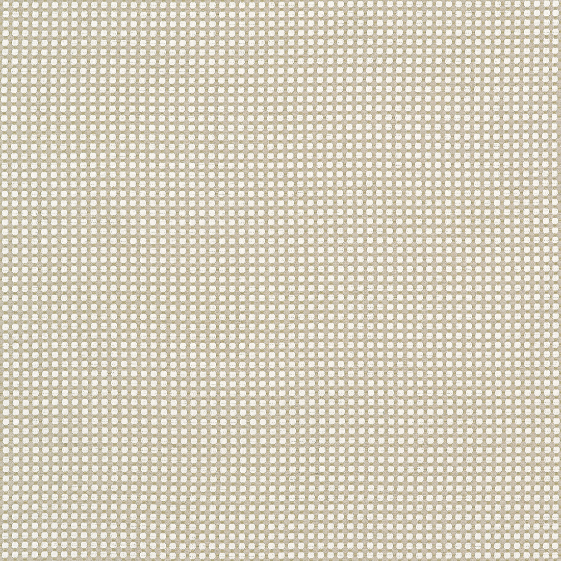 Darcy fabric in flax color - pattern number W81915 - by Thibaut in the Companions collection