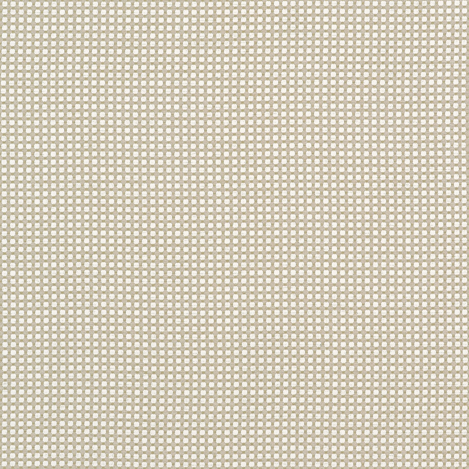 Darcy fabric in flax color - pattern number W81915 - by Thibaut in the Companions collection
