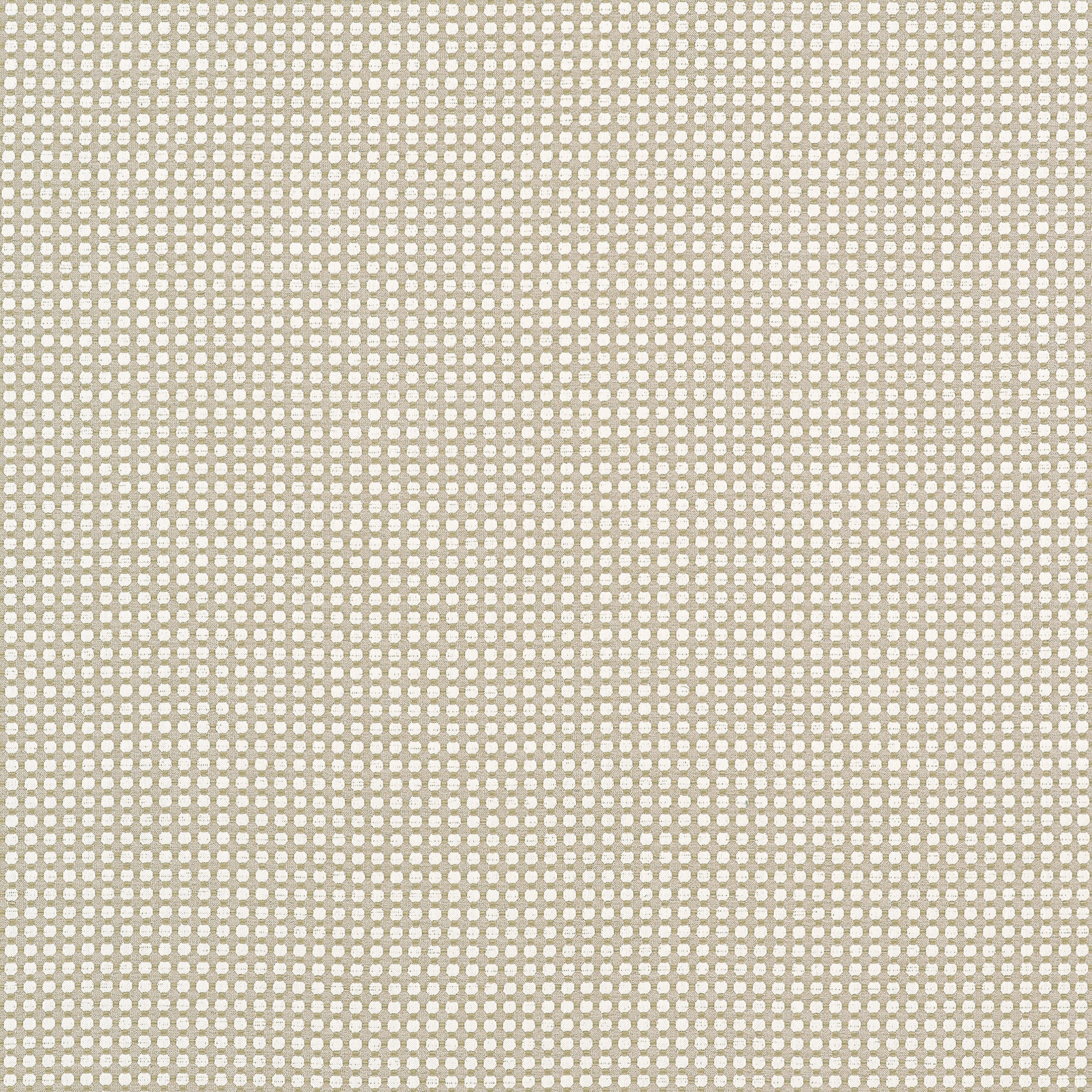 Darcy fabric in flax color - pattern number W81915 - by Thibaut in the Companions collection