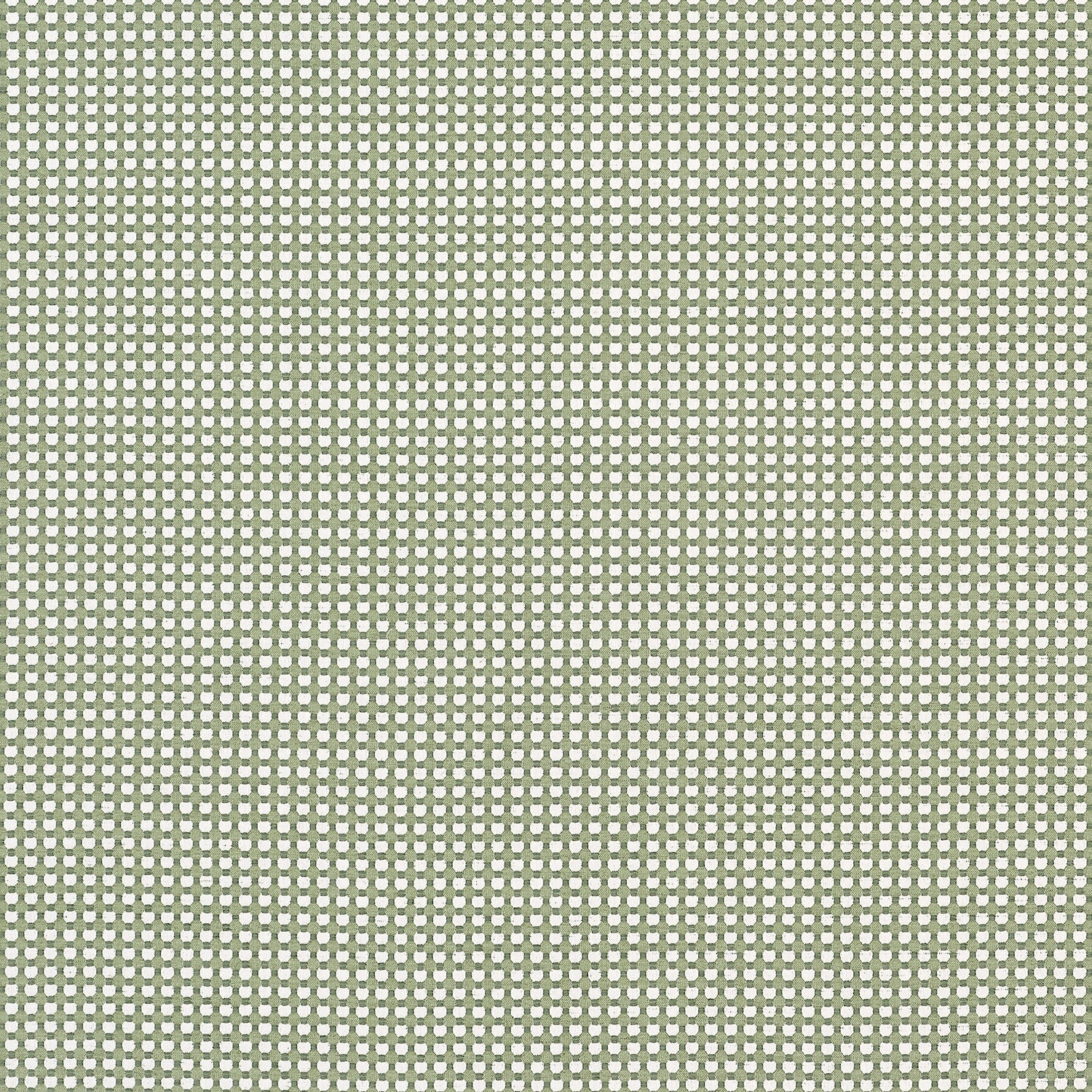 Darcy fabric in leaf color - pattern number W81918 - by Thibaut in the Companions collection
