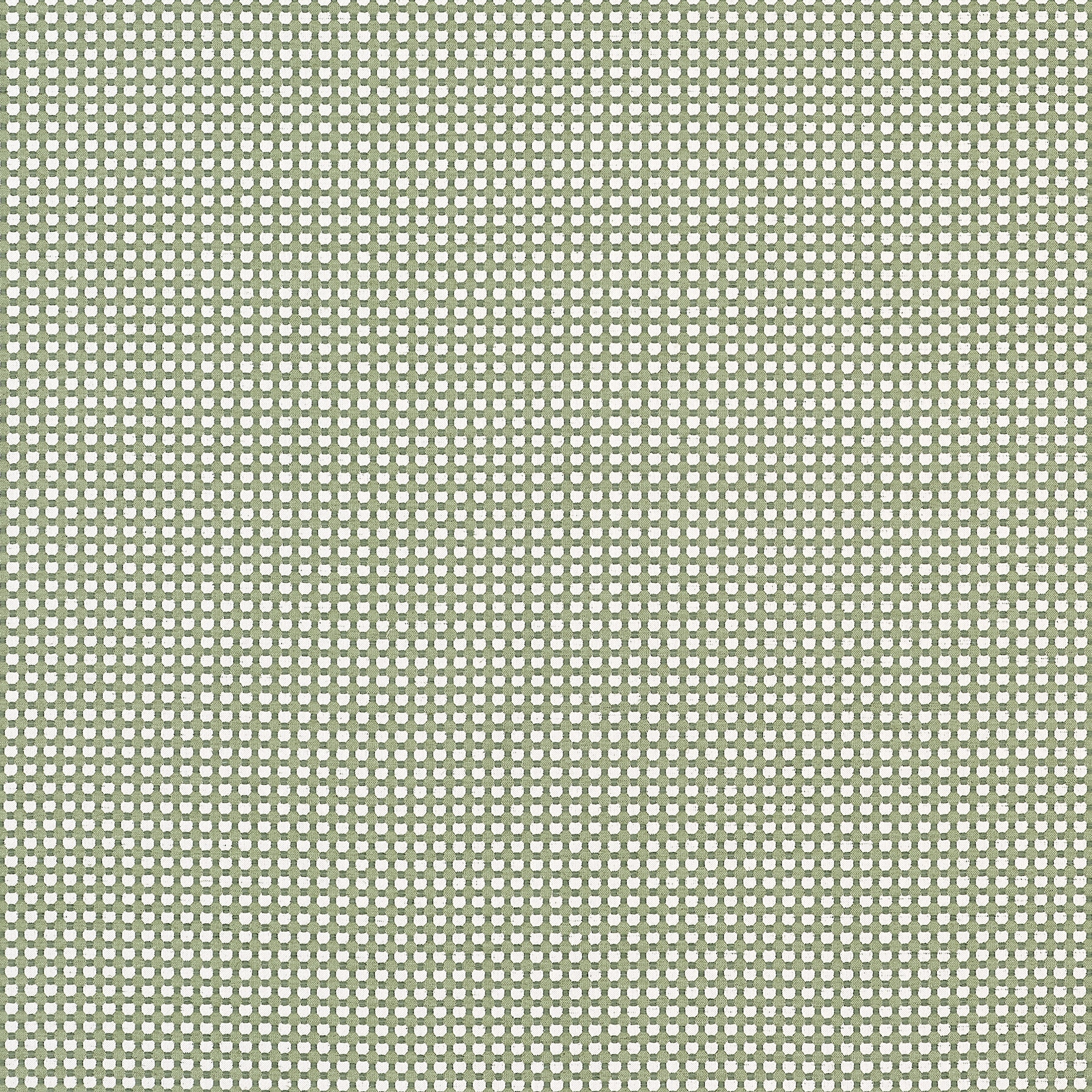 Darcy fabric in leaf color - pattern number W81918 - by Thibaut in the Companions collection