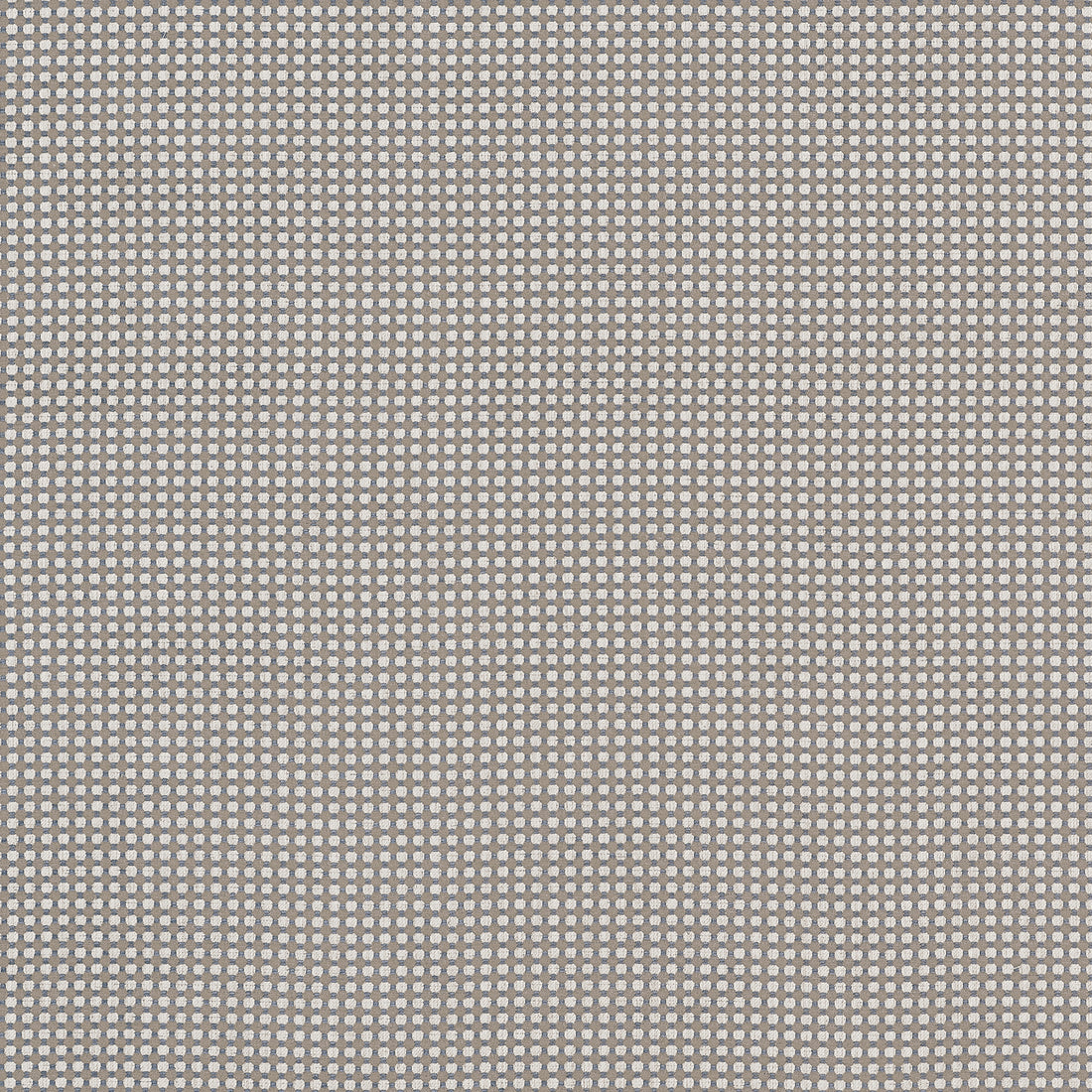 Darcy fabric in ash color - pattern number W81921 - by Thibaut in the Companions collection