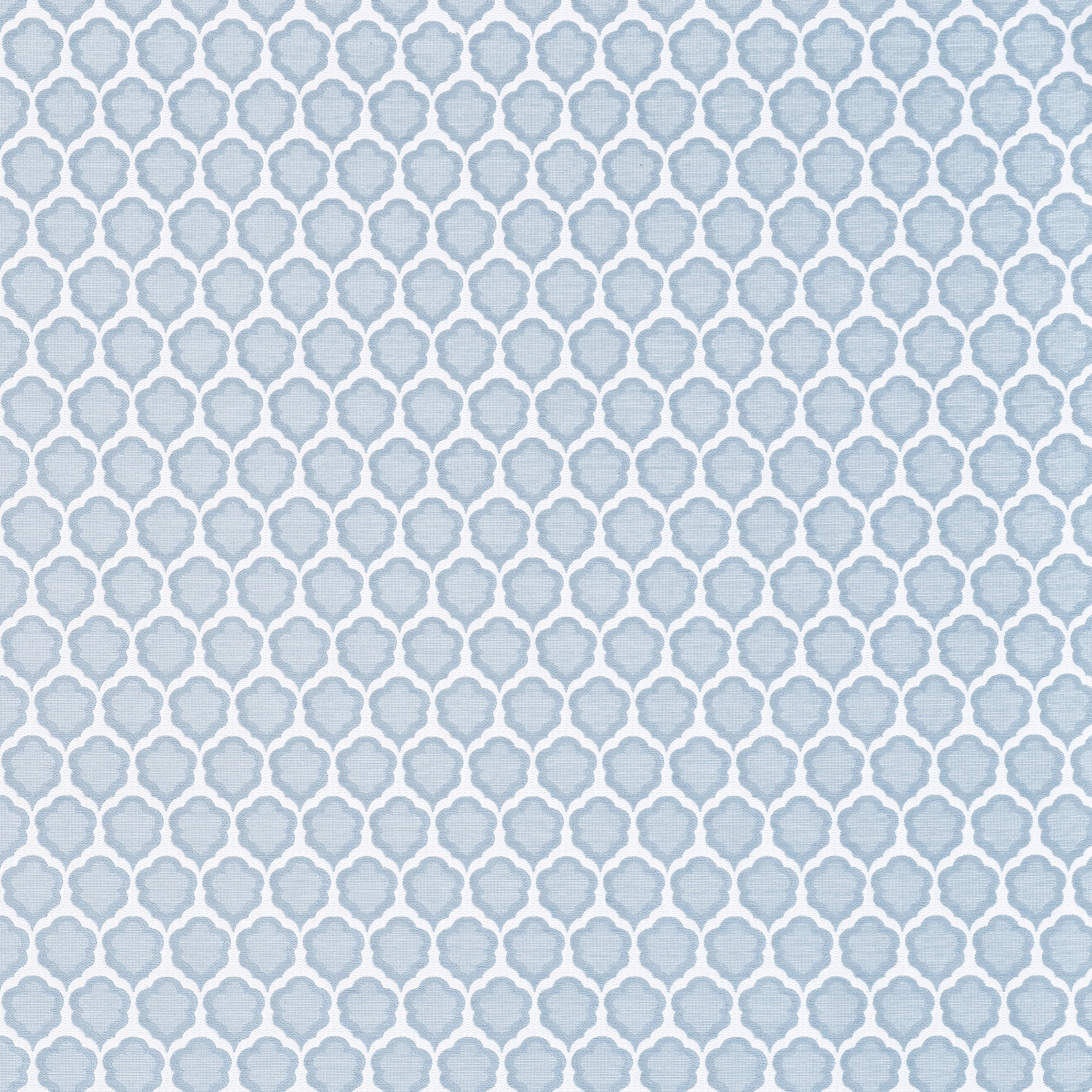 Genie fabric in powder color - pattern number W81926 - by Thibaut in the Companions collection