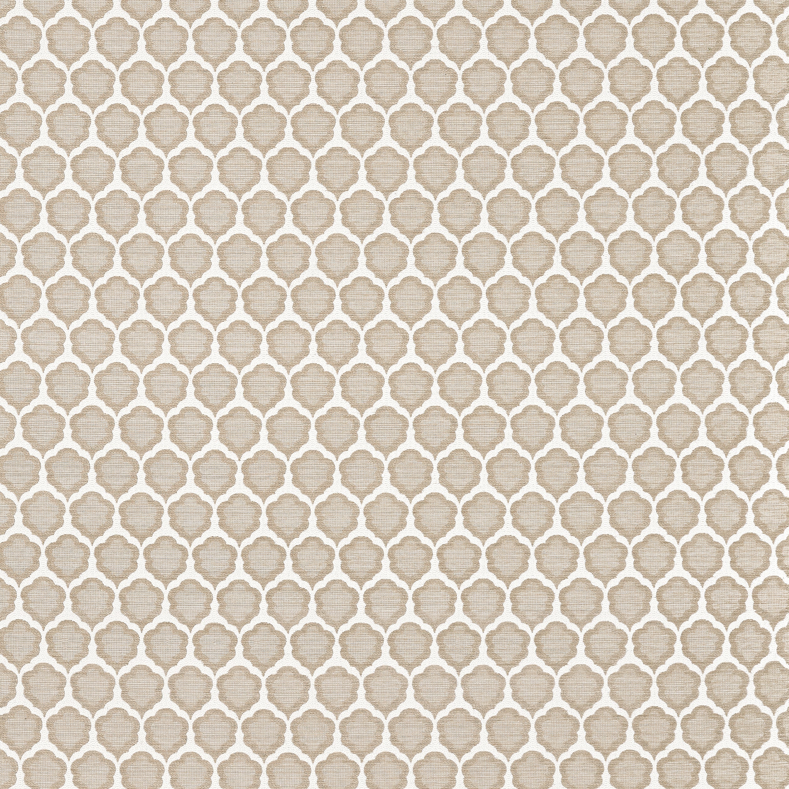 Genie fabric in sand color - pattern number W81928 - by Thibaut in the Companions collection
