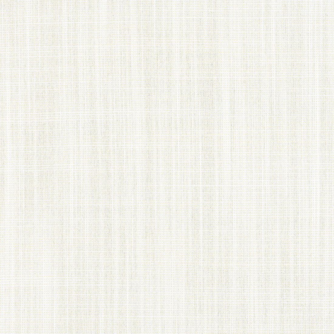 Rimini fabric in parchment color - pattern number W8551 - by Thibaut in the Villa Textures collection