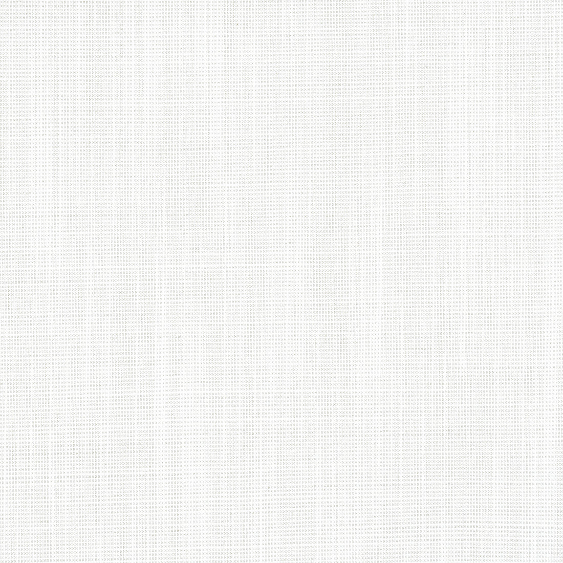 Rimini fabric in platinum color - pattern number W8553 - by Thibaut in the Villa Textures collection