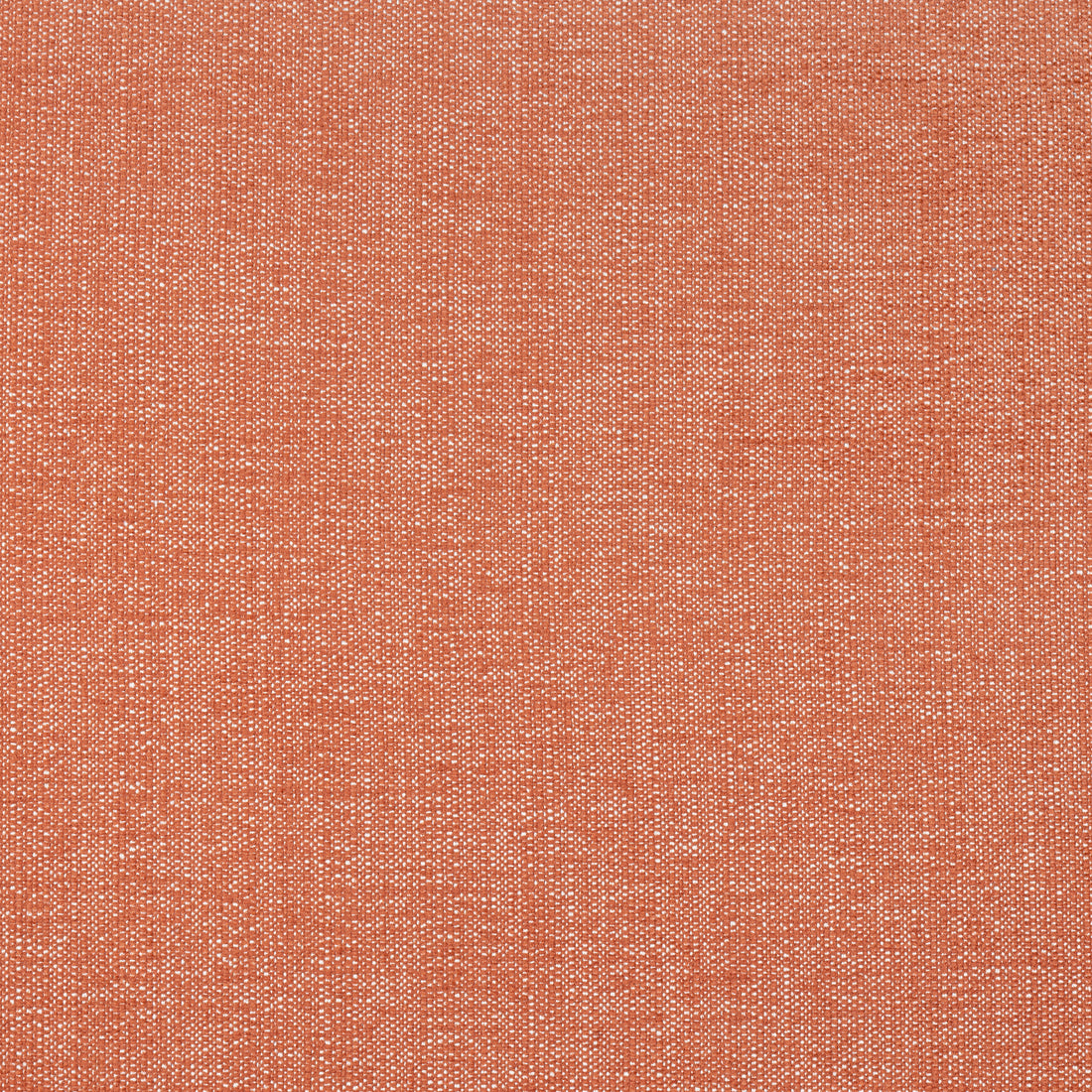 Veda fabric in terracotta color - pattern number W8713 - by Thibaut in the Haven Textures collection