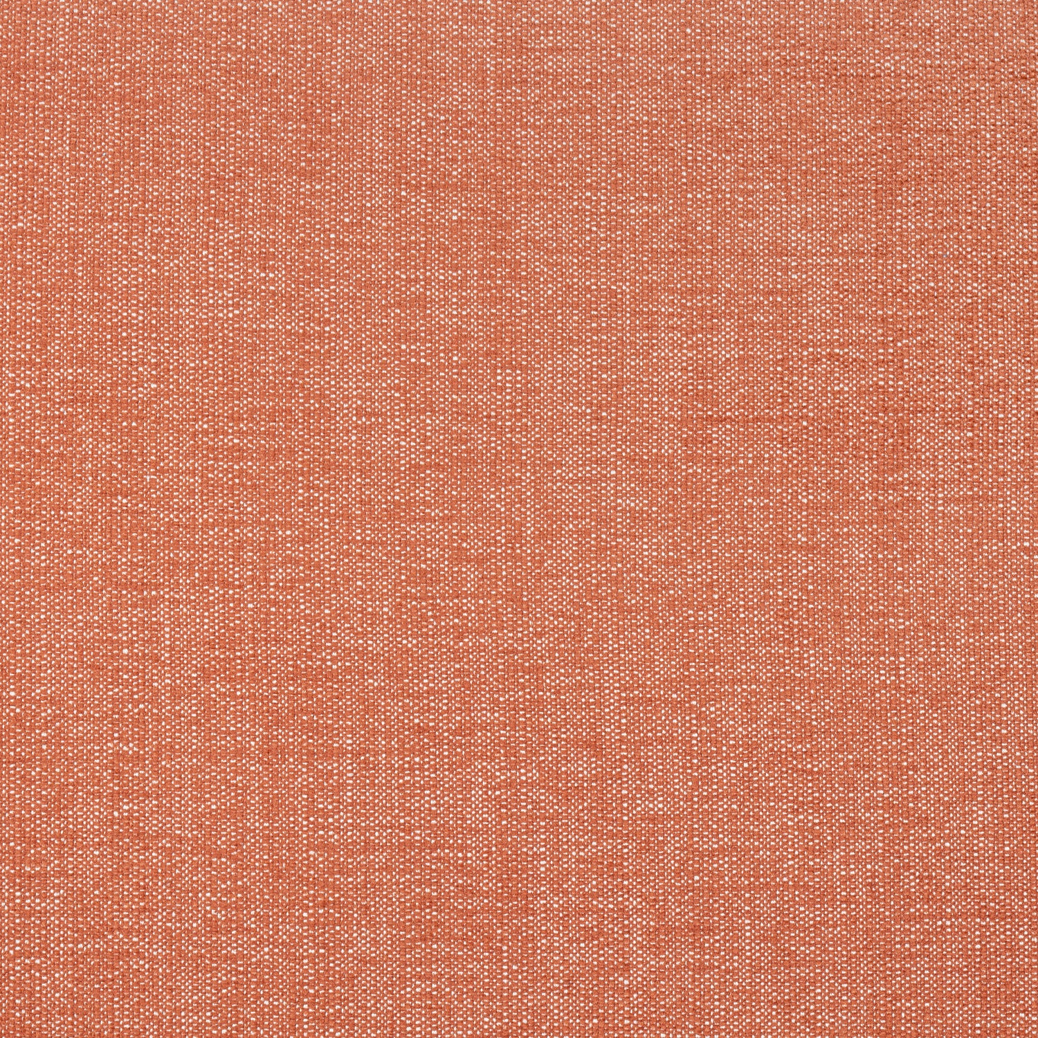 Veda fabric in terracotta color - pattern number W8713 - by Thibaut in the Haven Textures collection