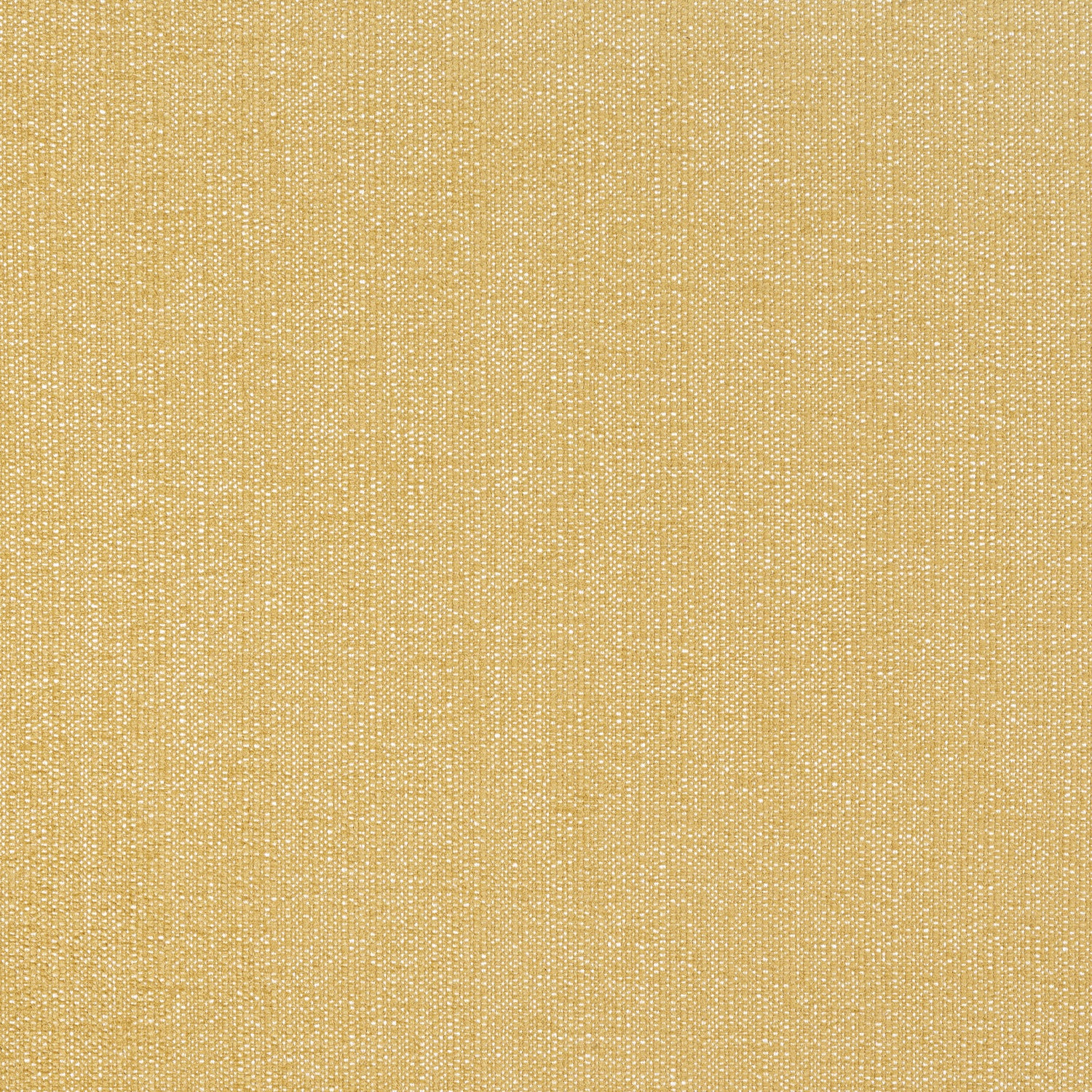 Veda fabric in straw color - pattern number W8715 - by Thibaut in the Haven Textures collection
