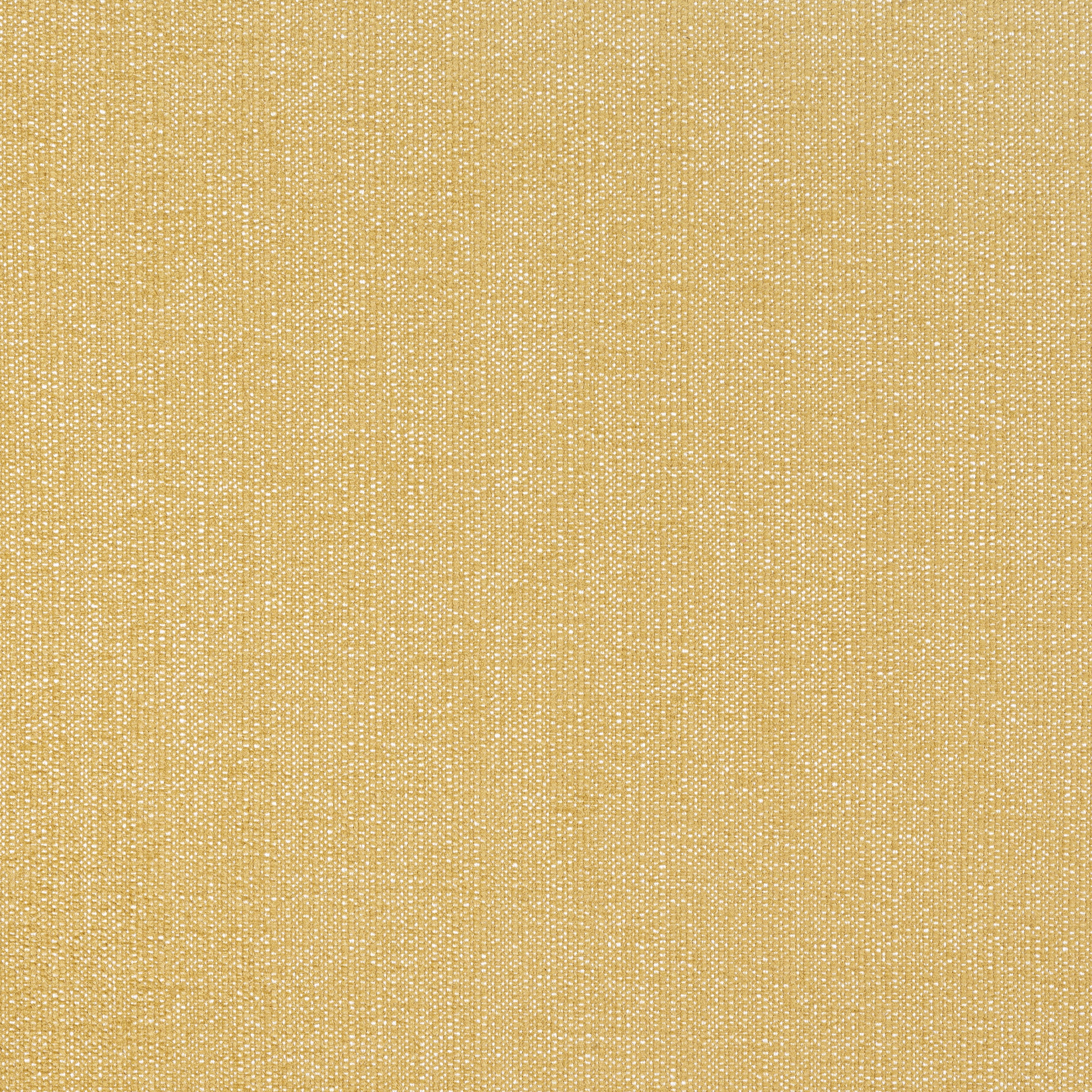 Veda fabric in straw color - pattern number W8715 - by Thibaut in the Haven Textures collection