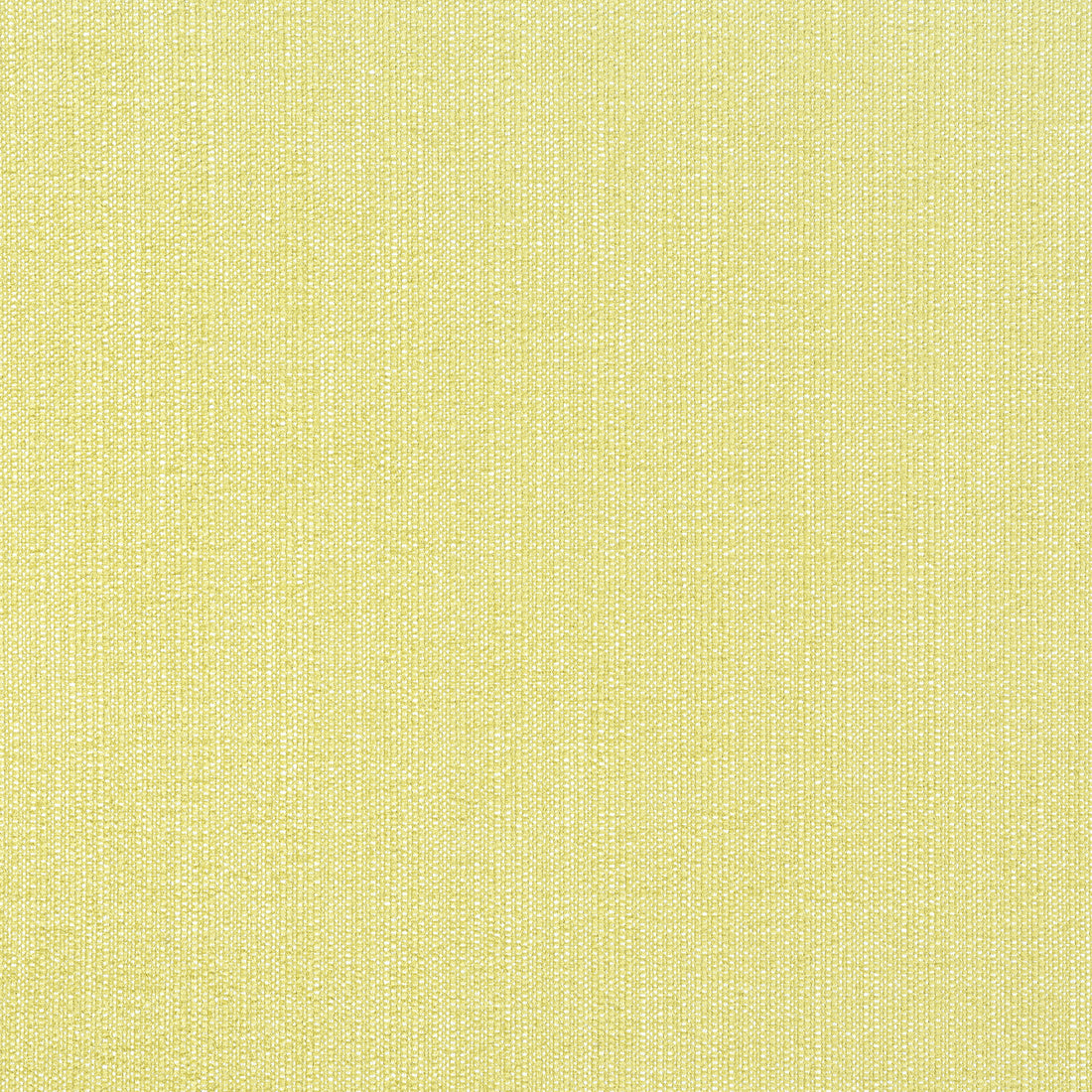 Veda fabric in lemongrass color - pattern number W8716 - by Thibaut in the Haven Textures collection