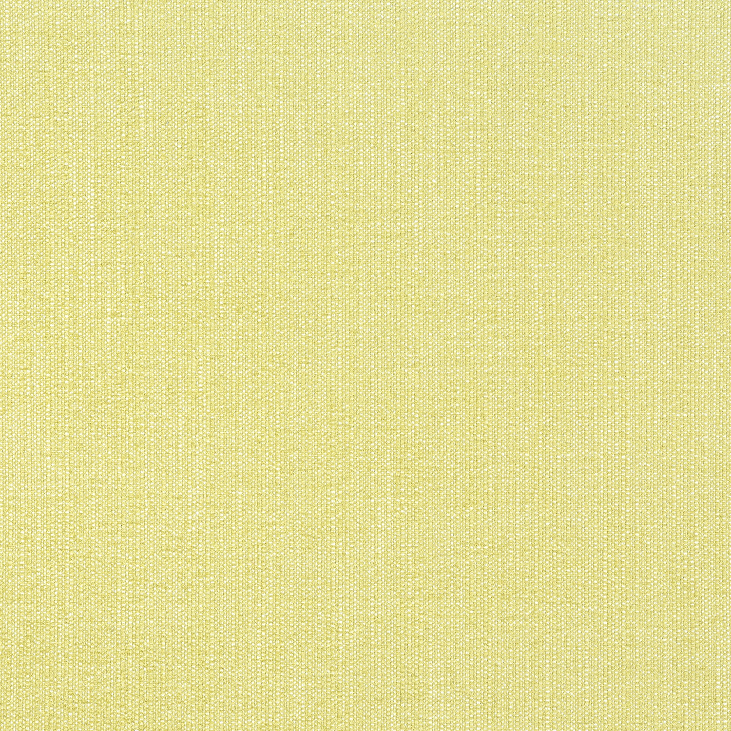 Veda fabric in lemongrass color - pattern number W8716 - by Thibaut in the Haven Textures collection
