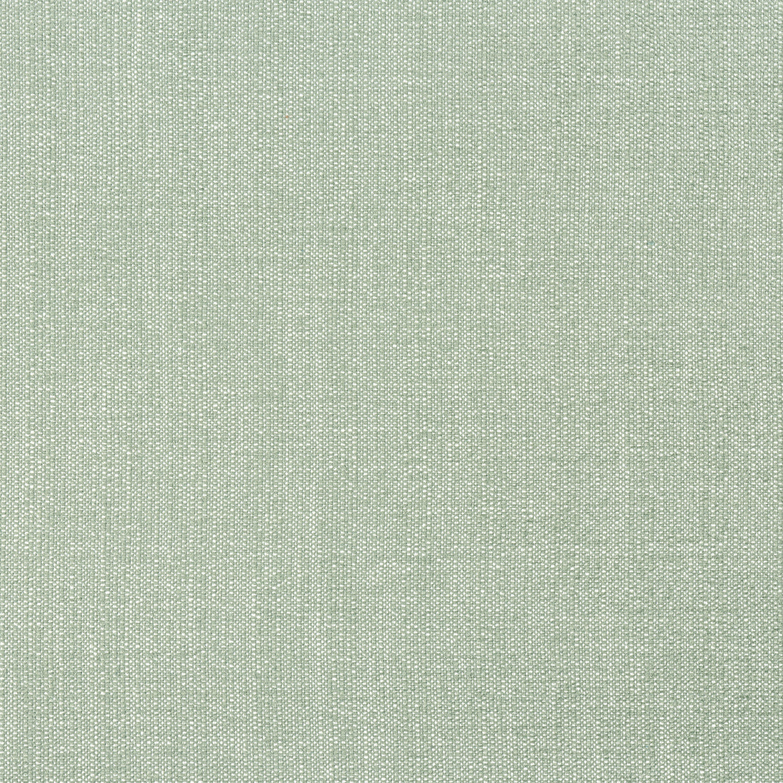 Veda fabric in aloe color - pattern number W8717 - by Thibaut in the Haven Textures collection