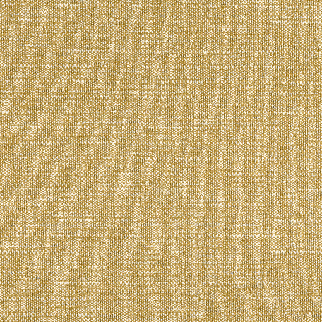 Petra fabric in straw color - pattern number W8738 - by Thibaut in the Haven Textures collection