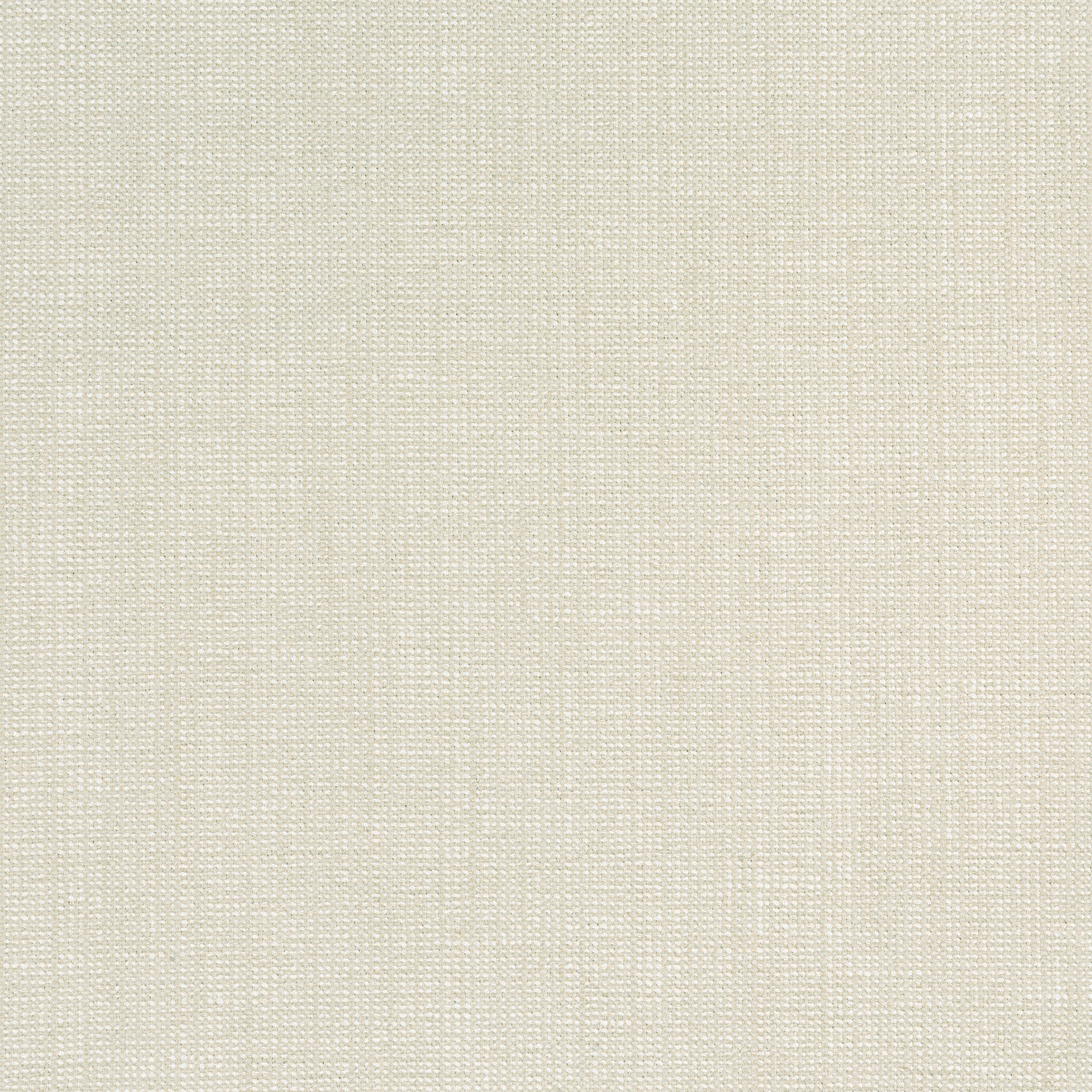 Sacchi fabric in flax color - pattern number W8754 - by Thibaut in the Haven Textures collection