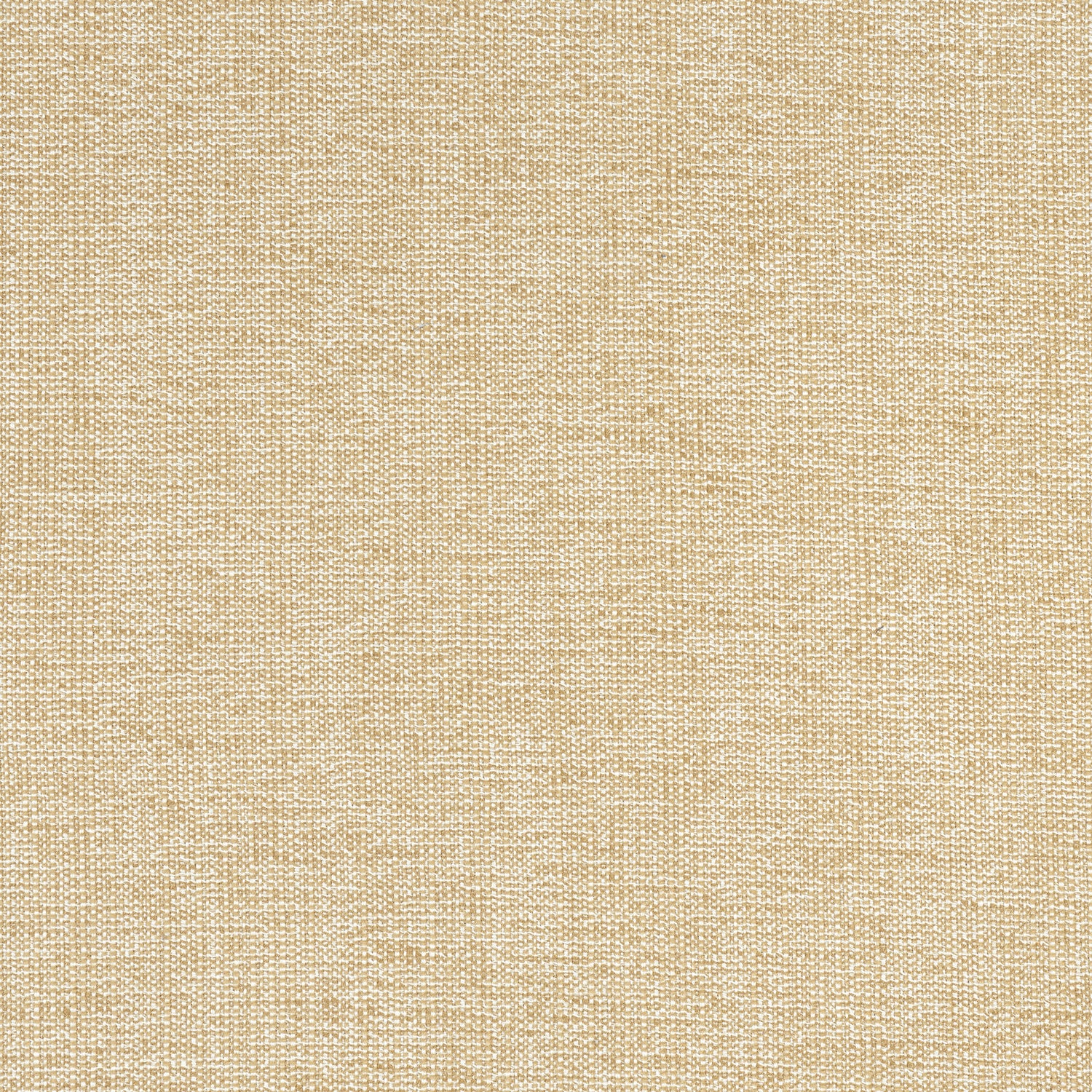 Sacchi fabric in caramel color - pattern number W8756 - by Thibaut in the Haven Textures collection
