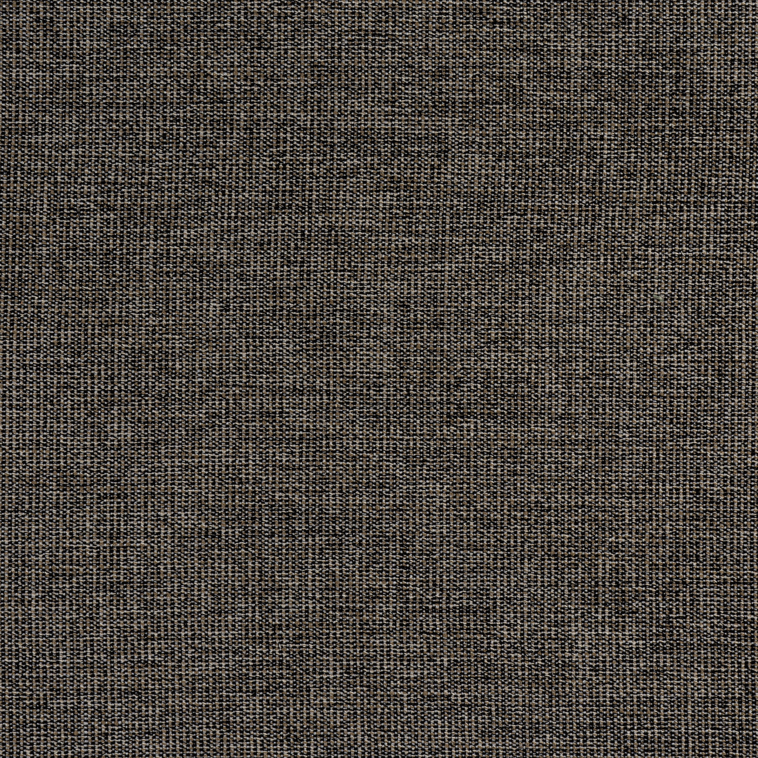 Sacchi fabric in ebony color - pattern number W8758 - by Thibaut in the Haven Textures collection