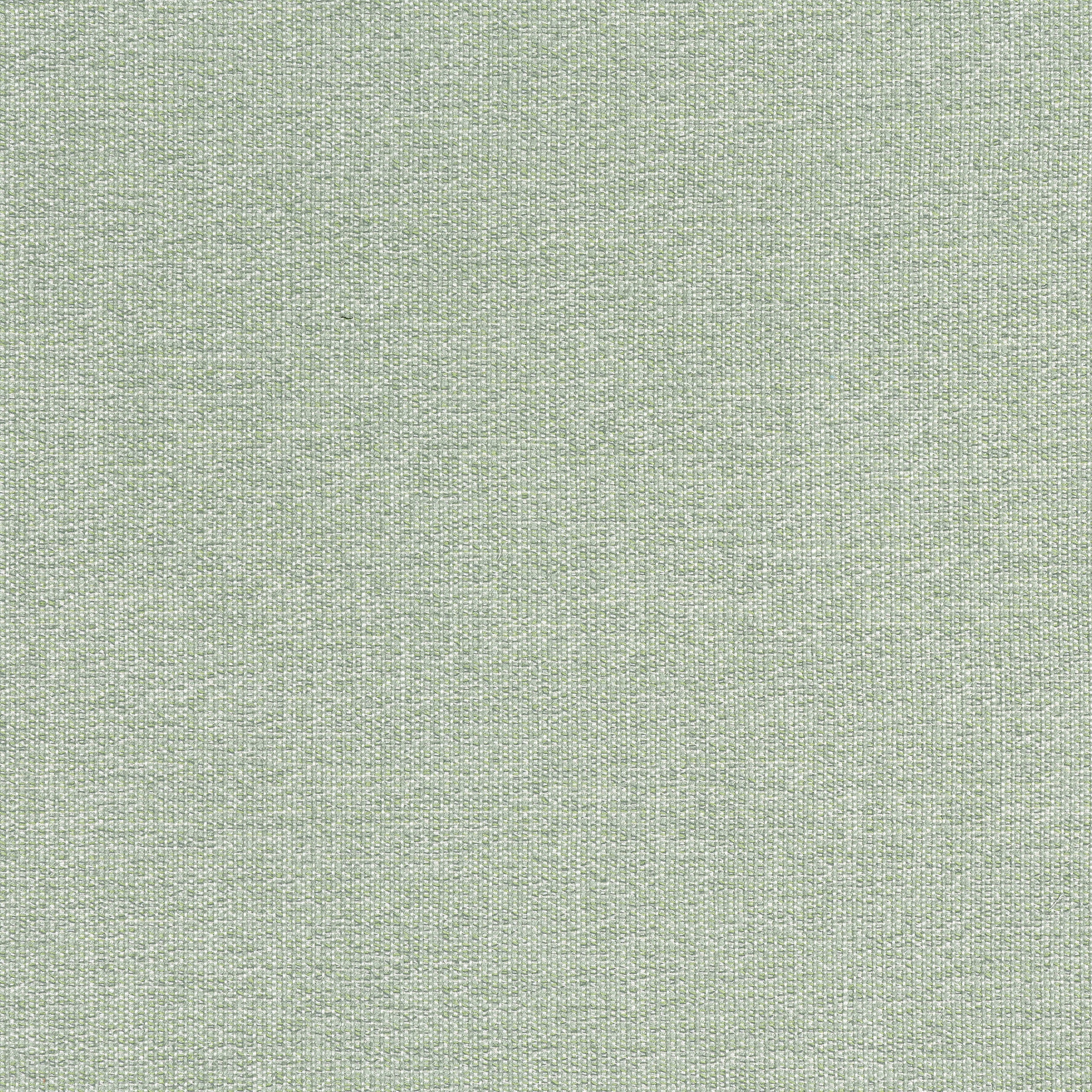 Sacchi fabric in aloe color - pattern number W8759 - by Thibaut in the Haven Textures collection