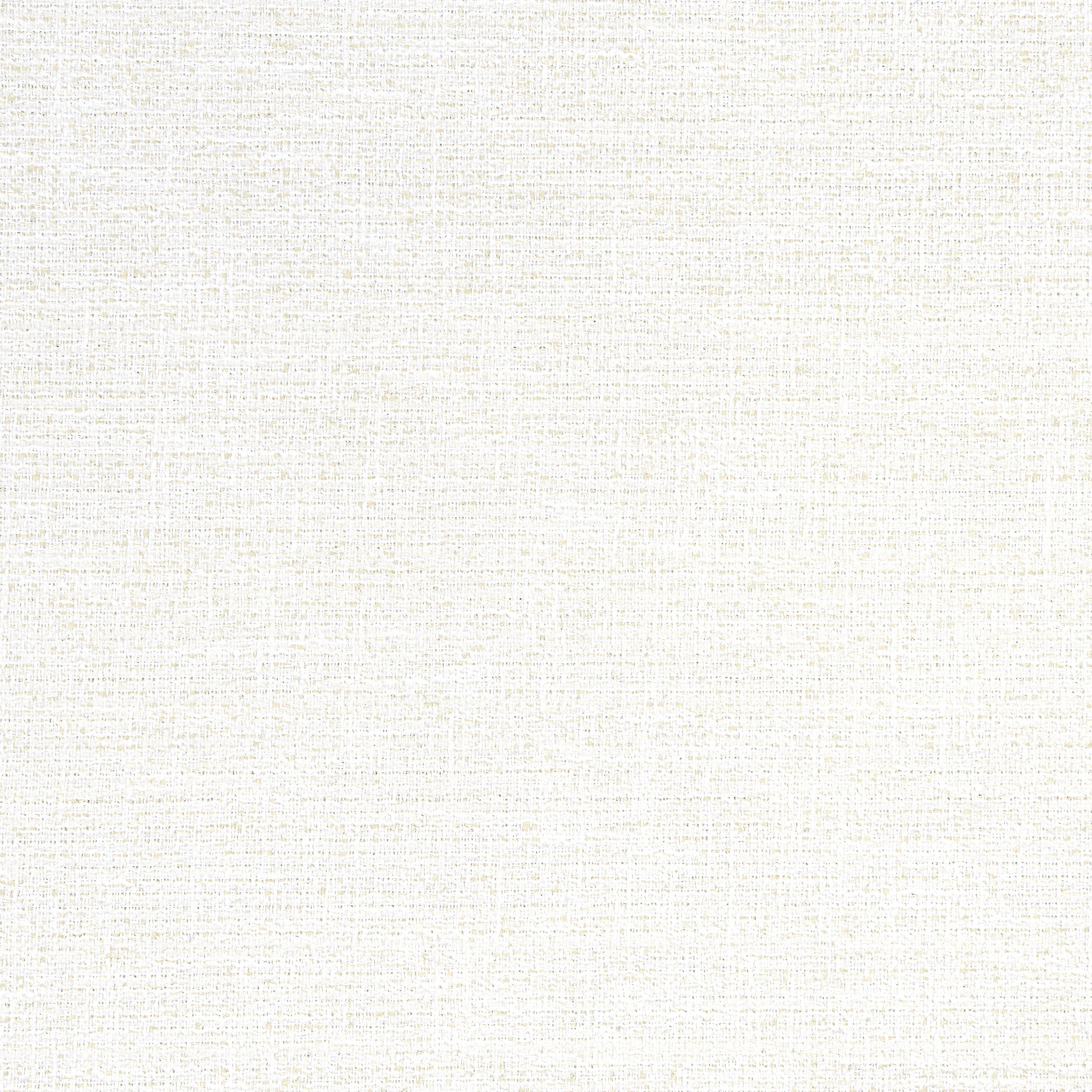 Adria fabric in salt color - pattern number W8791 - by Thibaut in the Haven Textures collection