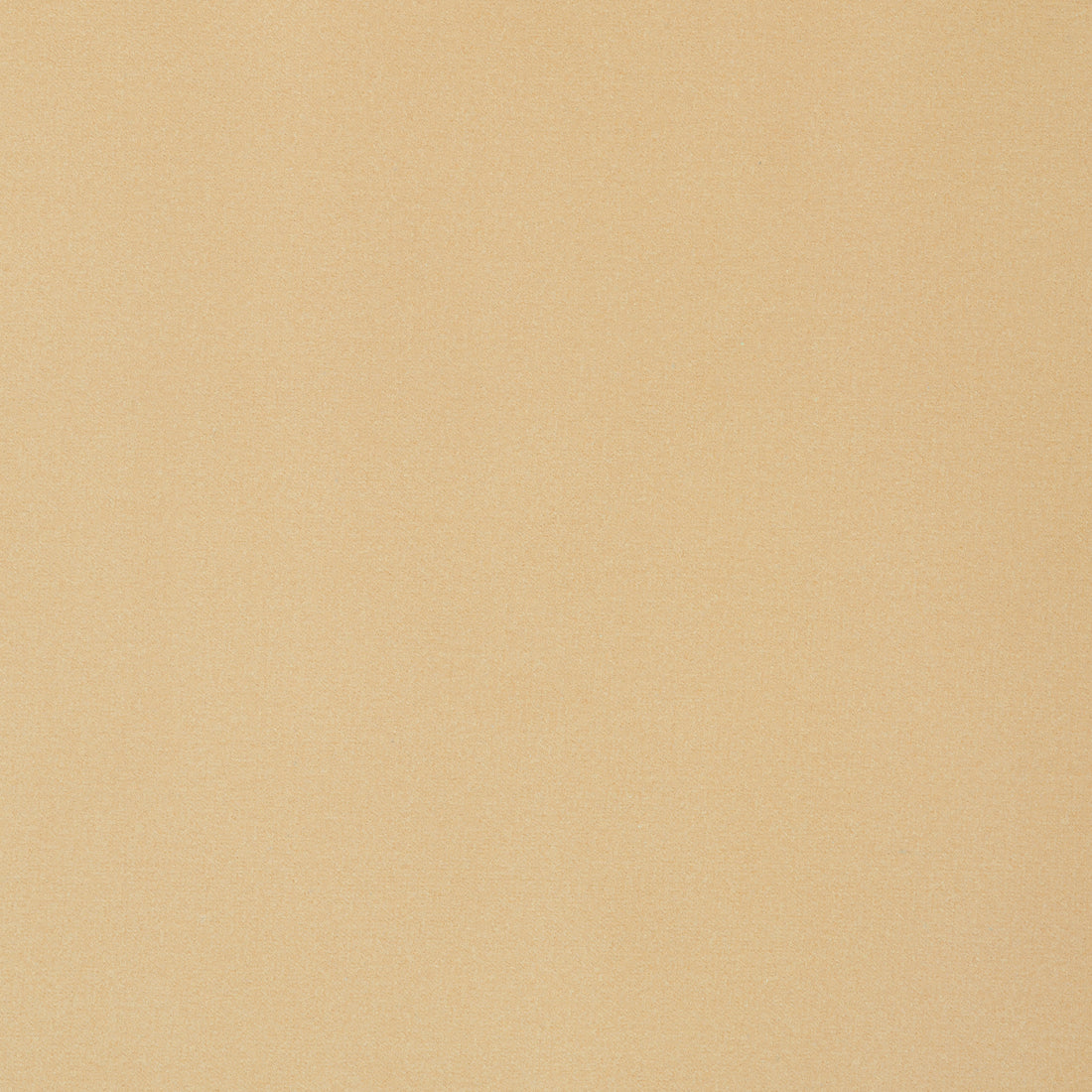Lyra Velvet fabric in camel color - pattern number W8905 - by Thibaut in the Lyra Velvets collection