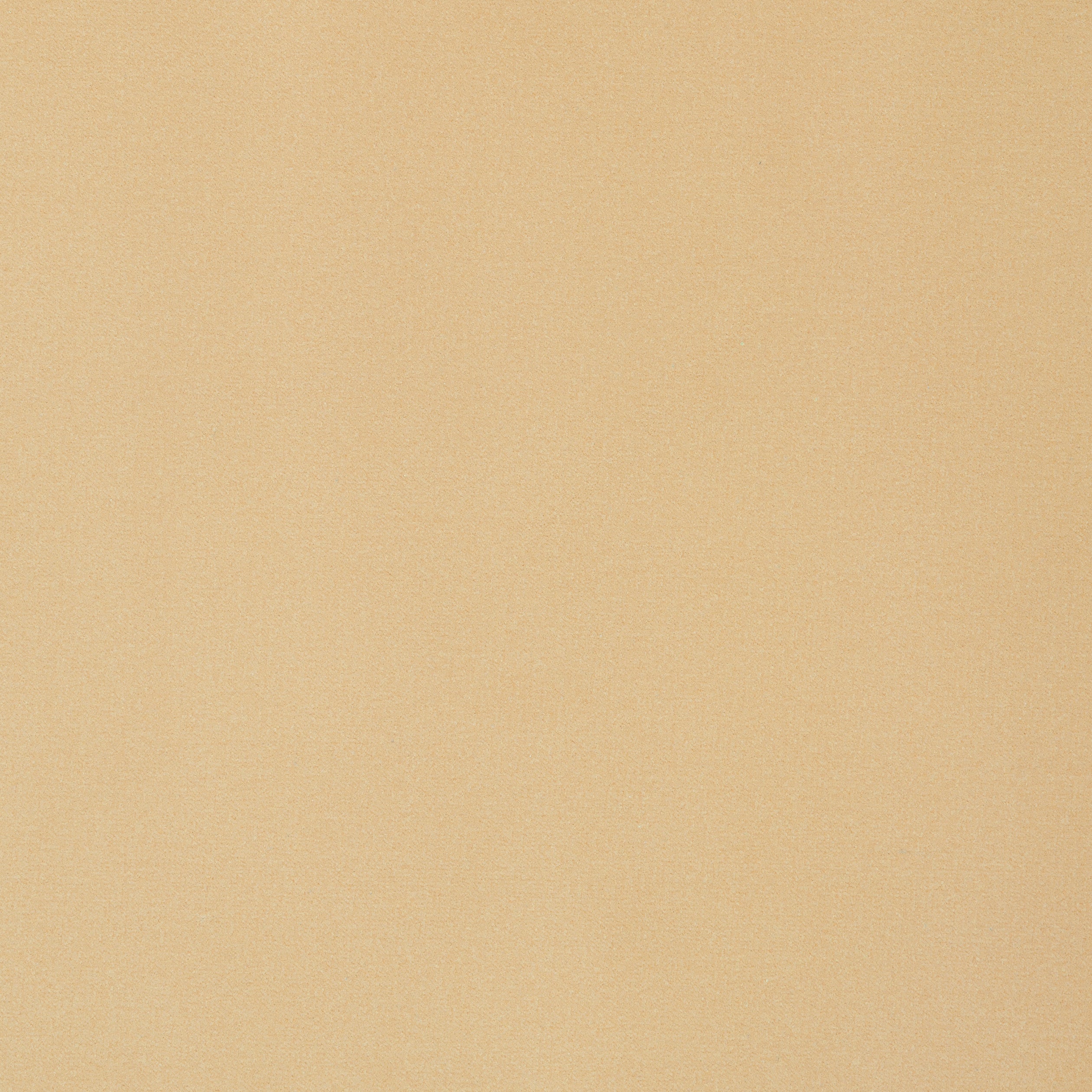 Lyra Velvet fabric in camel color - pattern number W8905 - by Thibaut in the Lyra Velvets collection