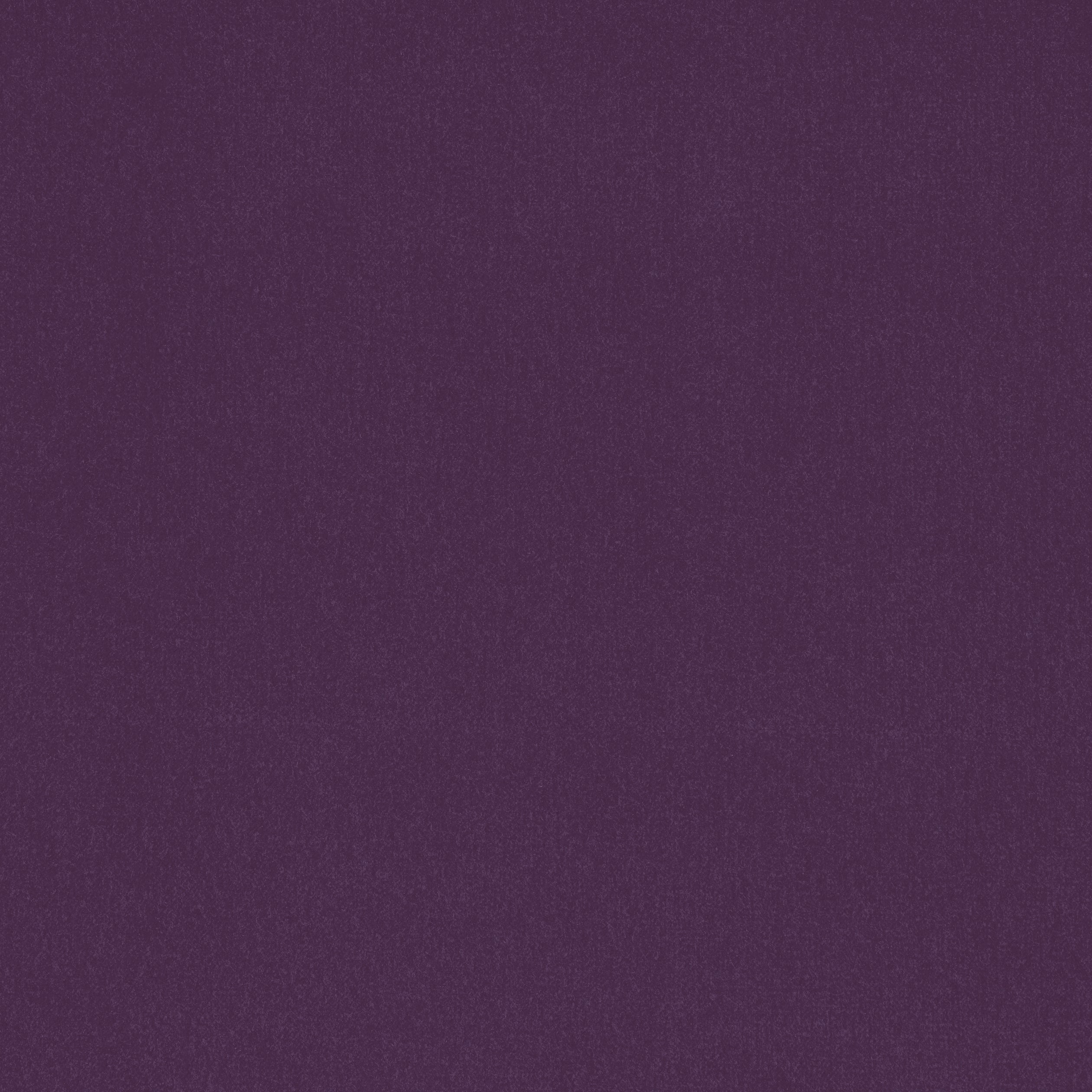 Alto Velvet fabric in amethyst color - pattern number W8931 - by Thibaut in the Lyra Velvets collection