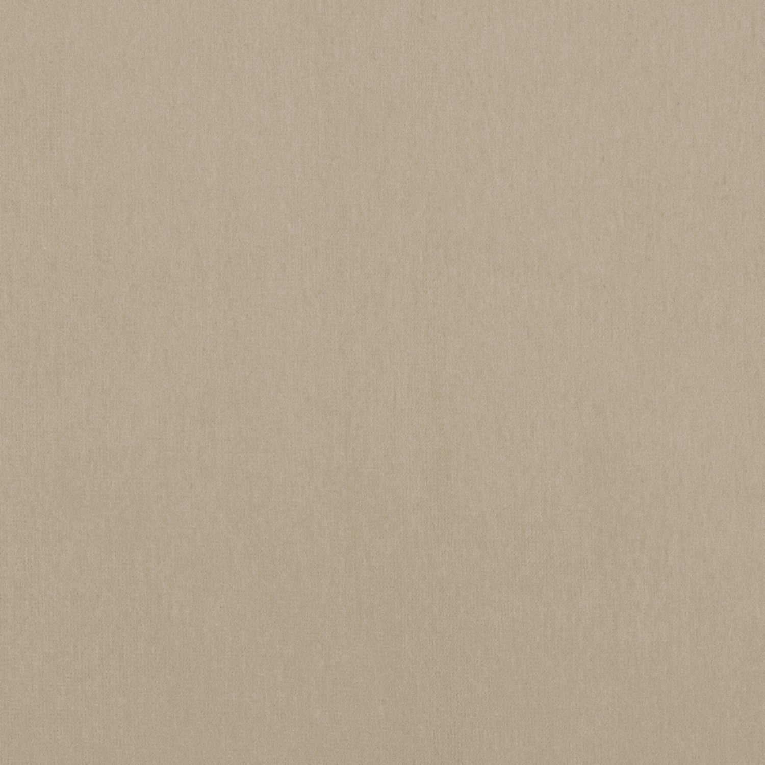 Alto Velvet fabric in stone color - pattern number W8938 - by Thibaut in the Lyra Velvets collection