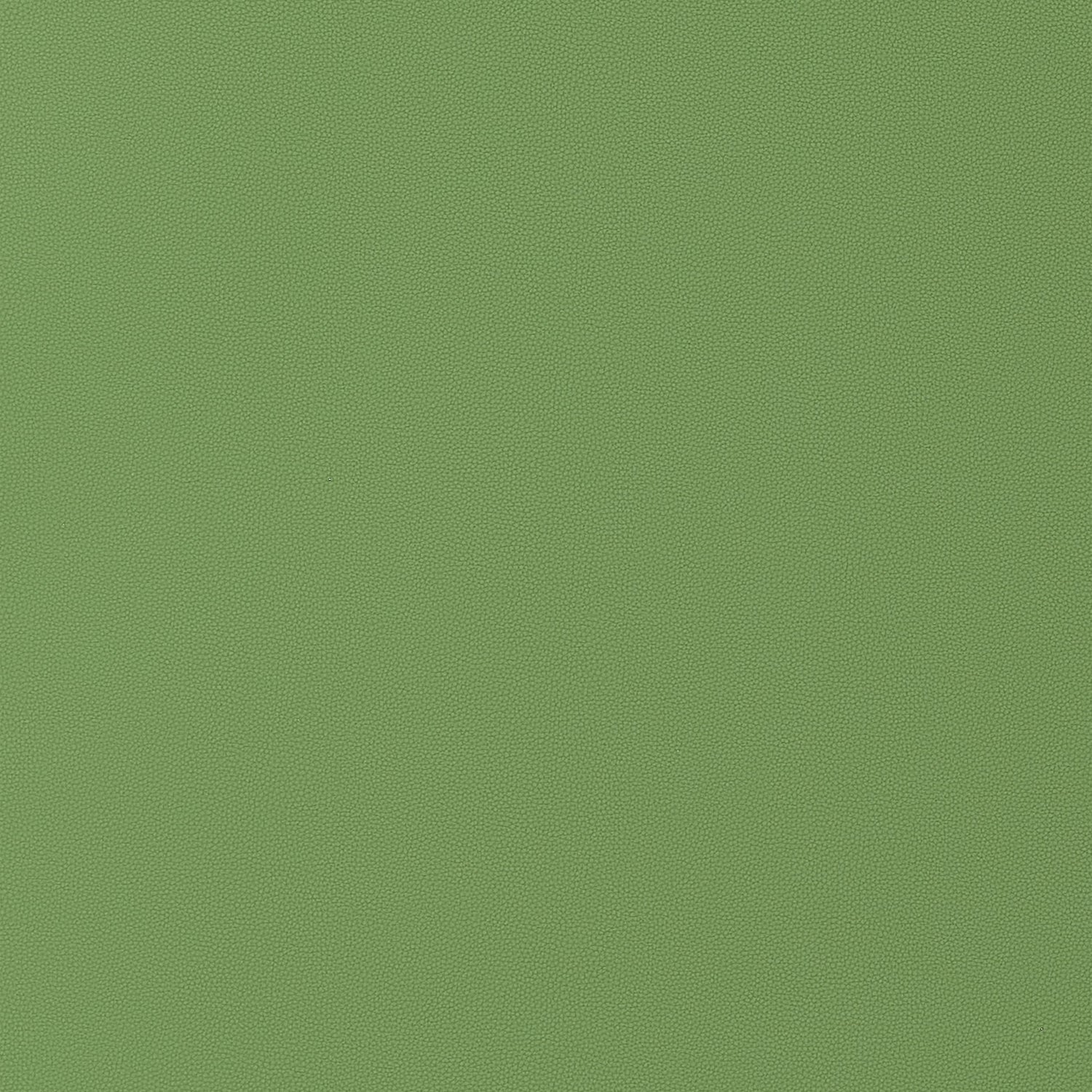 Salta fabric in kiwi color - pattern number W9028 - by Thibaut in the Vegan Leathers collection