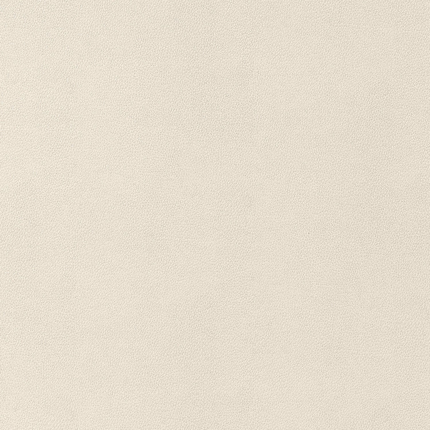 Gaucho fabric in ecru color - pattern number W9049 - by Thibaut in the Vegan Leathers collection