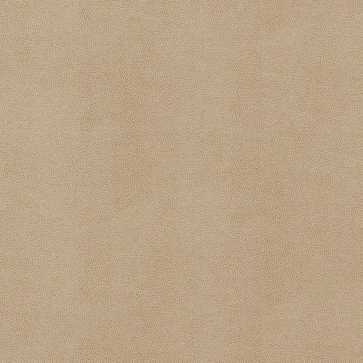 Gaucho fabric in fawn color - pattern number W9051 - by Thibaut in the Vegan Leathers collection