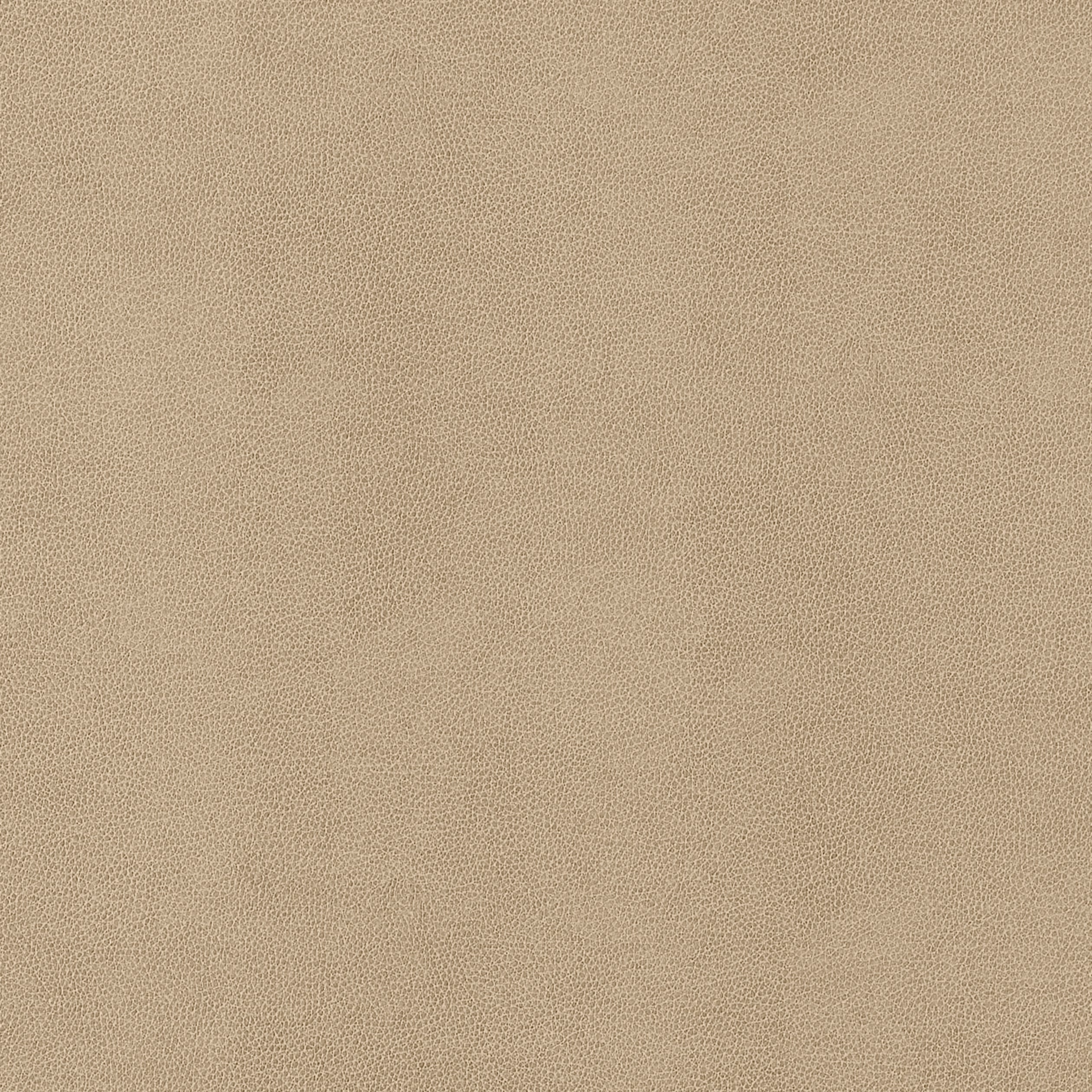 Gaucho fabric in fawn color - pattern number W9051 - by Thibaut in the Vegan Leathers collection