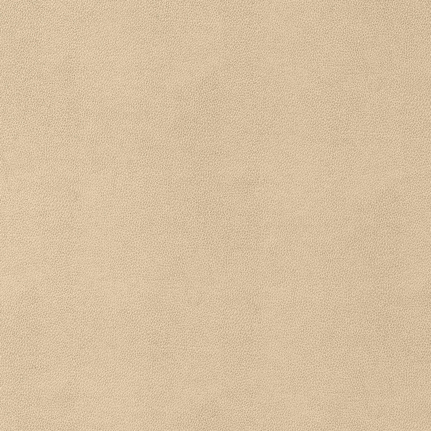 Gaucho fabric in suede color - pattern number W9052 - by Thibaut in the Vegan Leathers collection