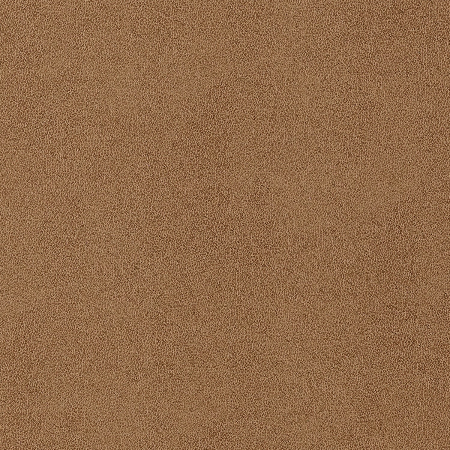 Gaucho fabric in cedar color - pattern number W9053 - by Thibaut in the Vegan Leathers collection
