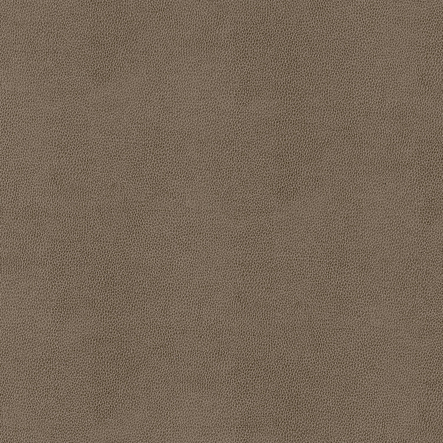 Gaucho fabric in elk color - pattern number W9055 - by Thibaut in the Vegan Leathers collection
