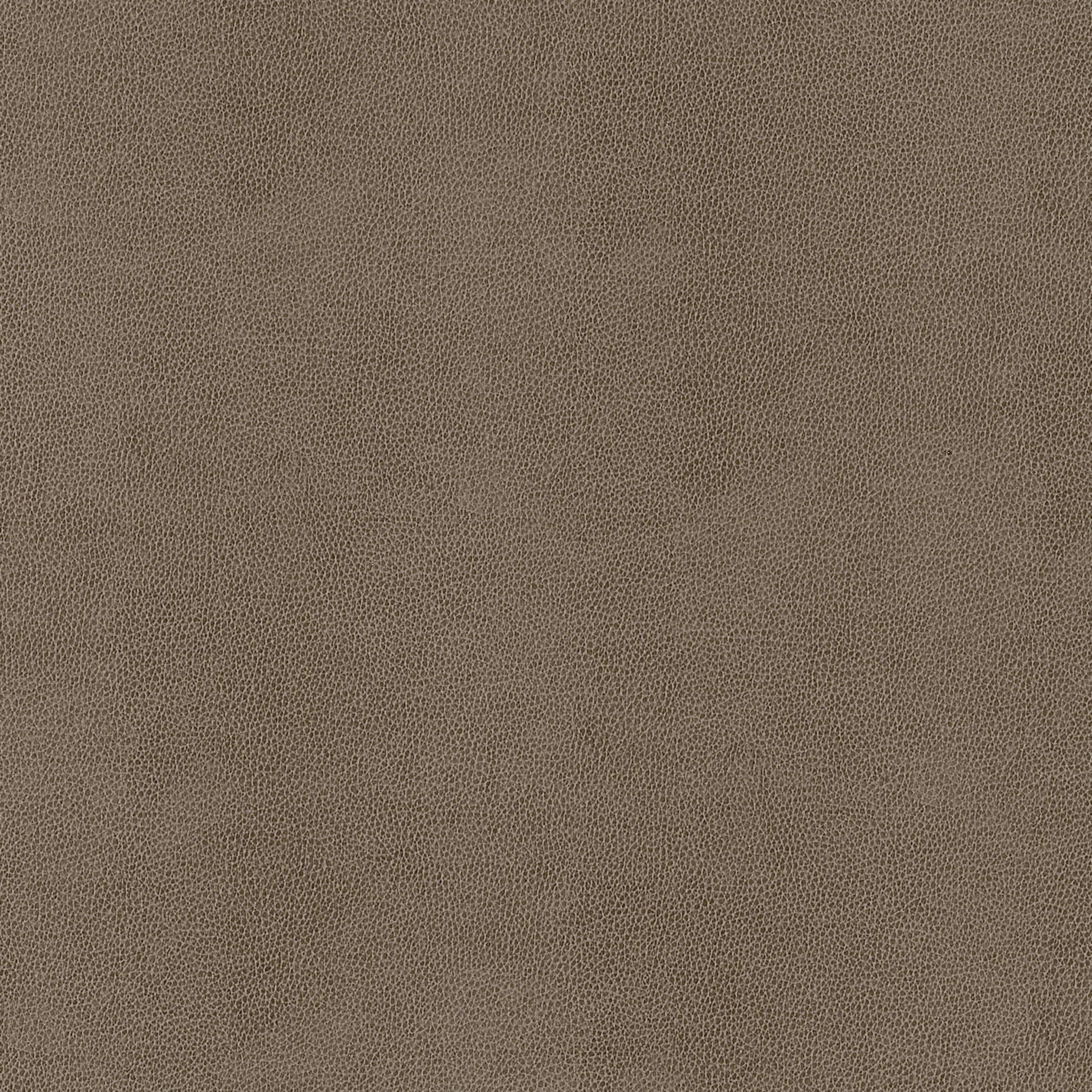 Gaucho fabric in elk color - pattern number W9055 - by Thibaut in the Vegan Leathers collection