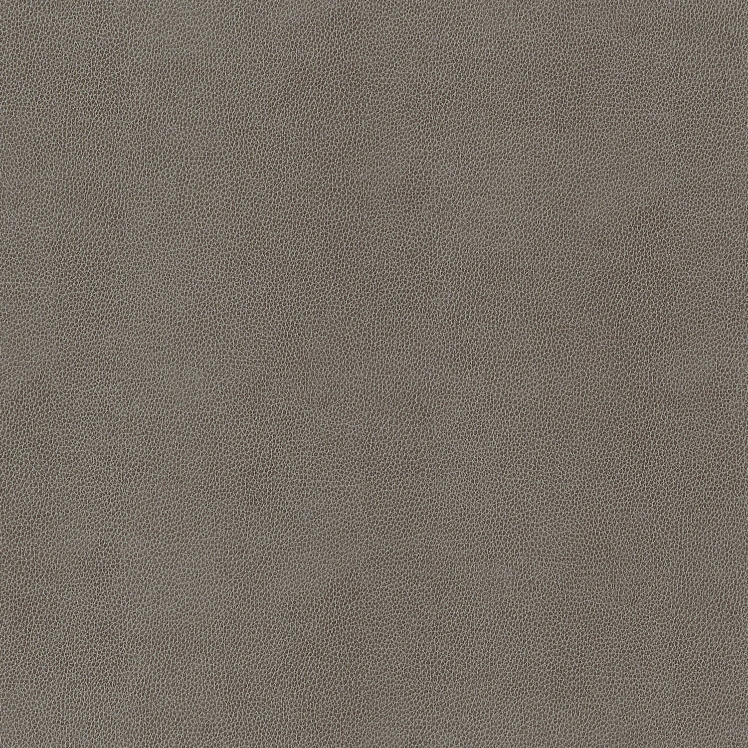 Gaucho fabric in granite color - pattern number W9056 - by Thibaut in the Vegan Leathers collection