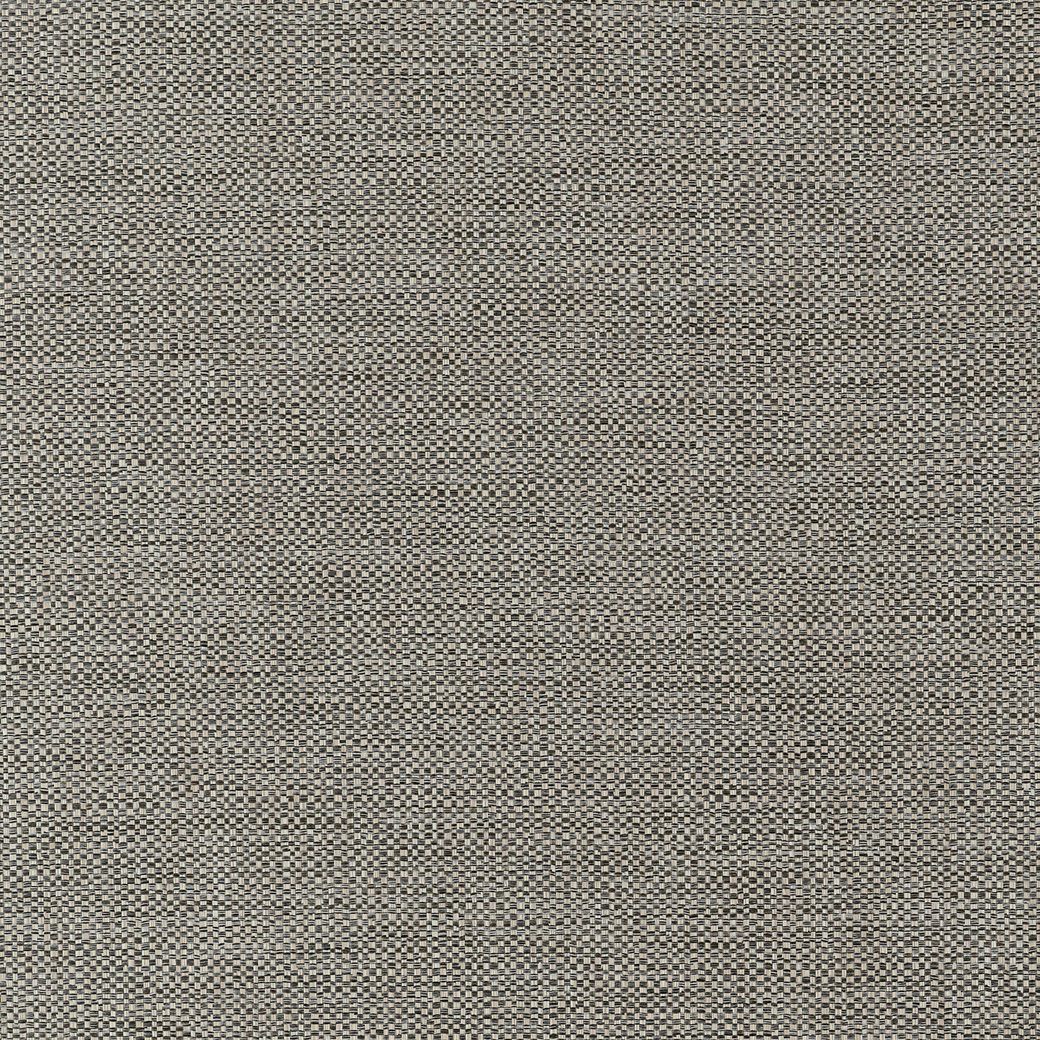 Kaden fabric in ebony color - pattern number W9121 - by Thibaut in the Woven Essentials collection